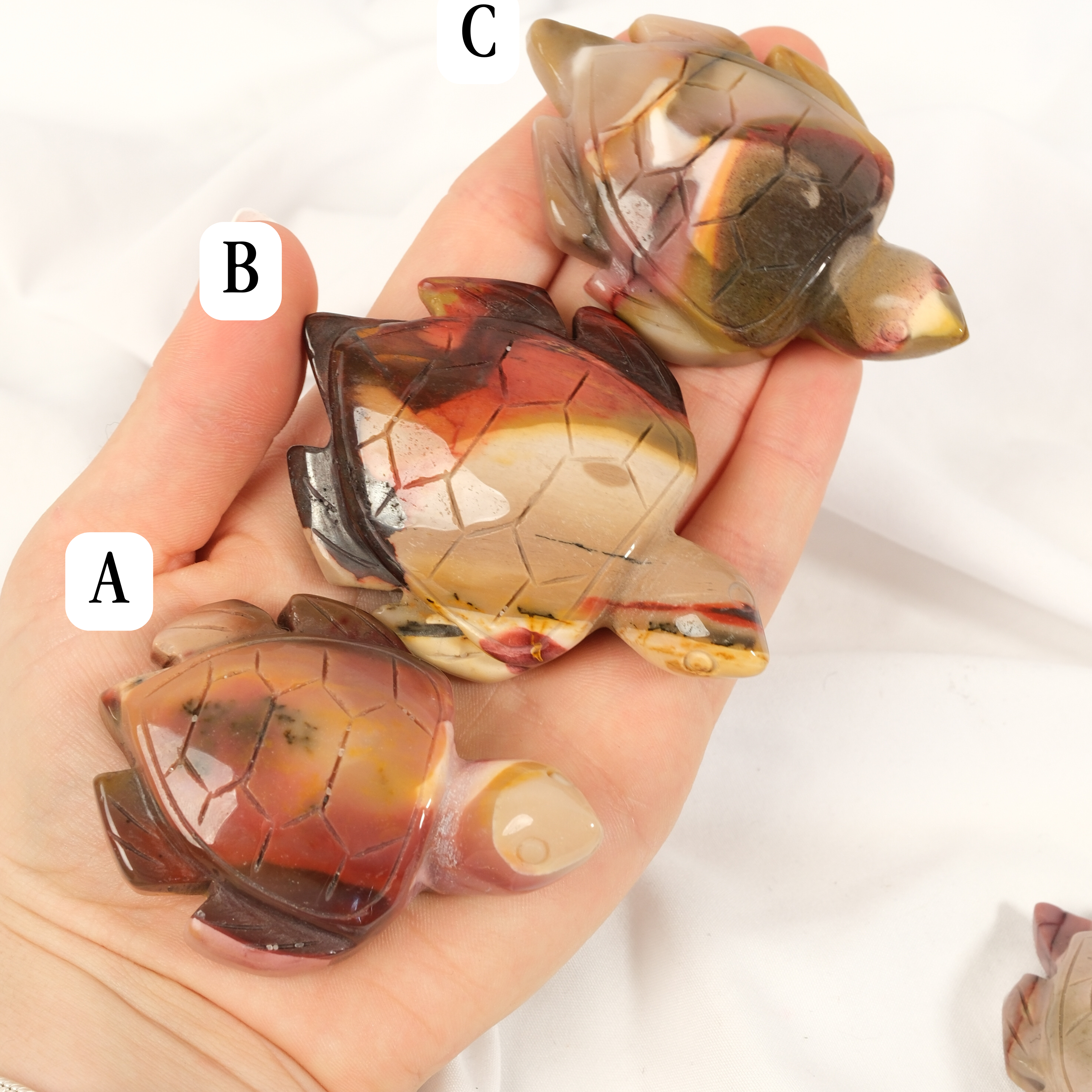 Mookaite Turtle: choose your own