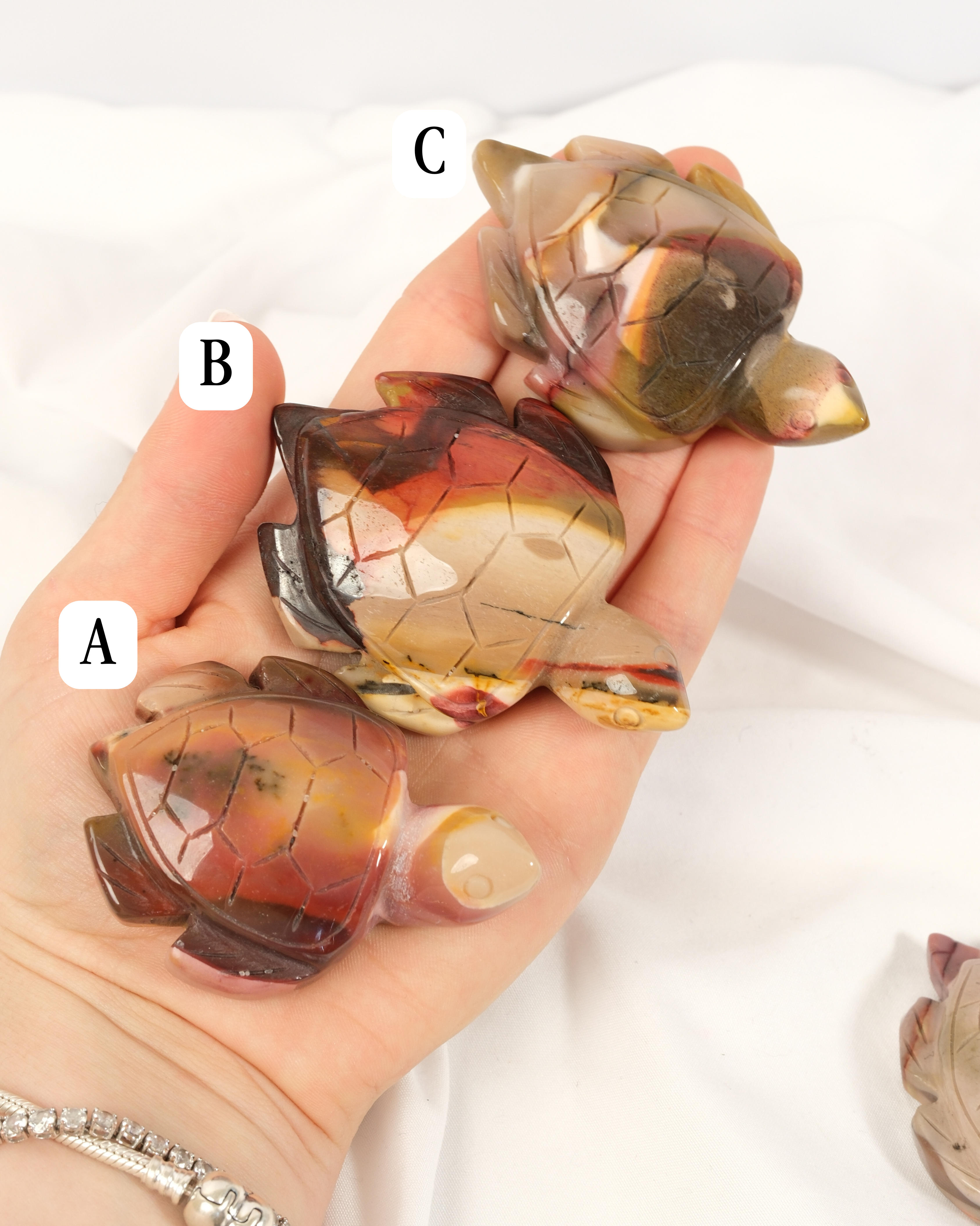 Mookaite Turtle: choose your own