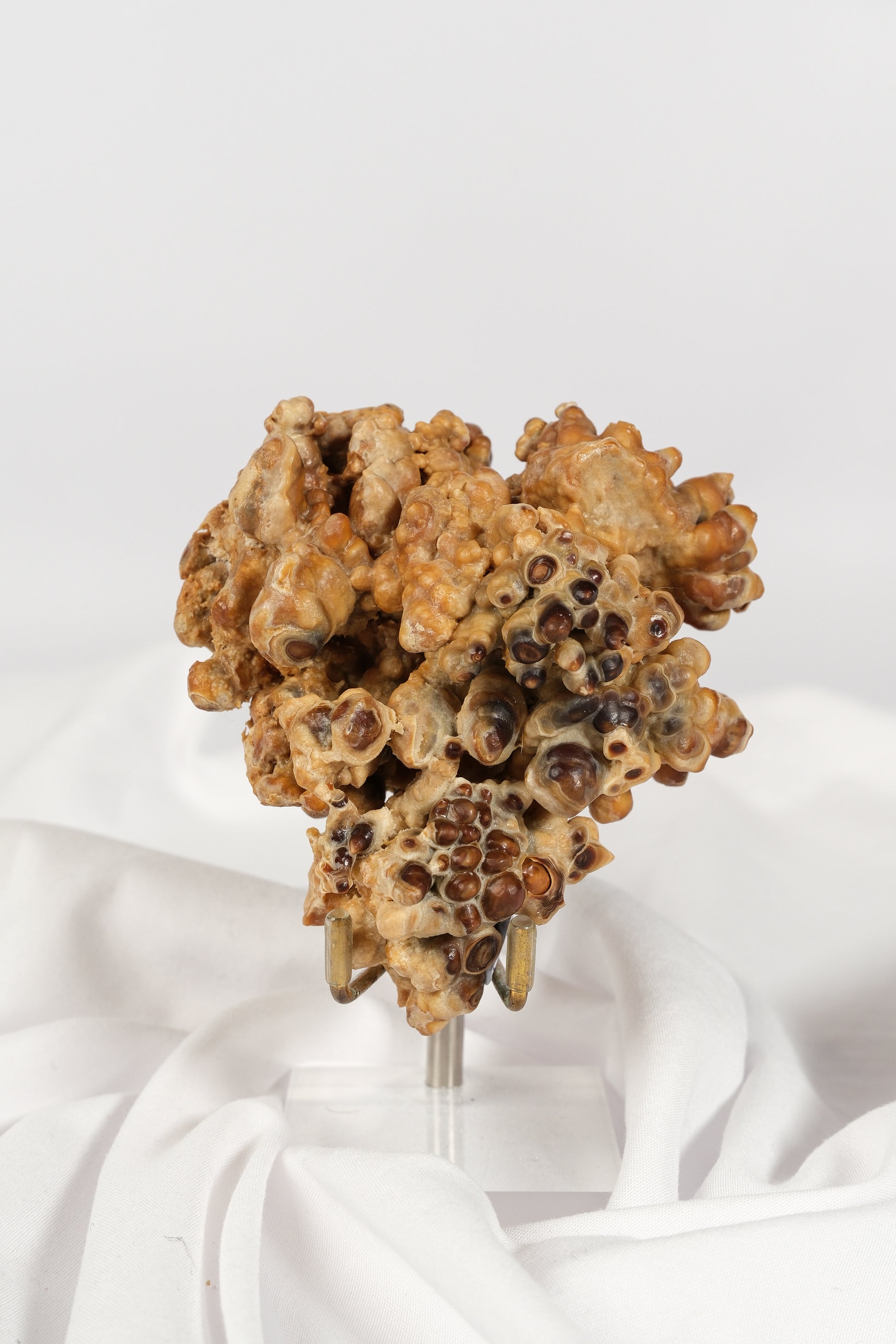 Brown Cave Aragonite