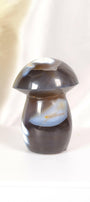 Orca Agate Mushroom Healing Crystal.