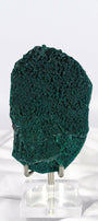 Botryoidal Green Chalcedony with Celadonite and Apophyllite Slice Healing Crystal.