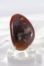 Red Sashe River Freeform/Palmstone Healing Crystal.