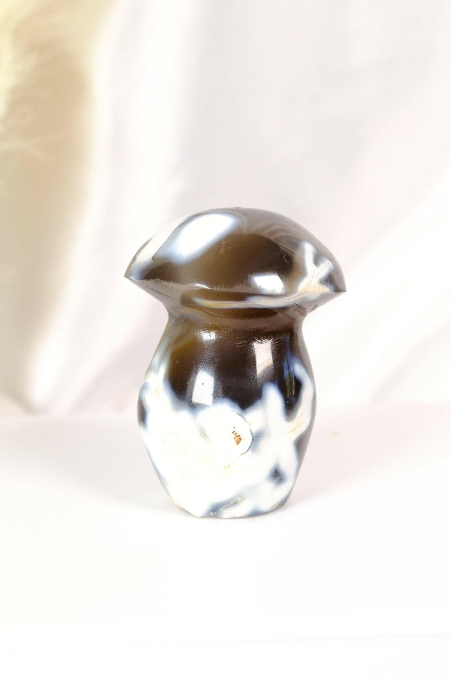Orca Agate Mushroom Healing Crystal.