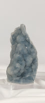 Botryoidal Blue Chalcedony Cutbase