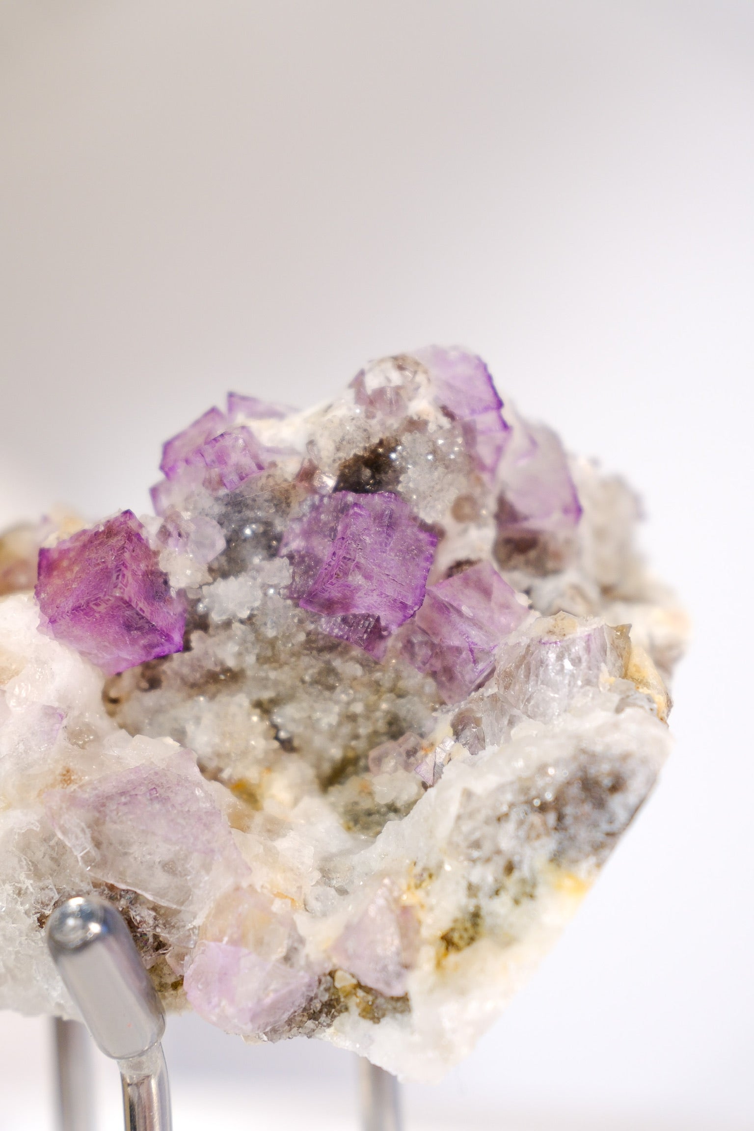El Filo Fluorite Cluster