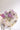 El Filo Fluorite Cluster