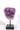Amethyst Cluster on Stand