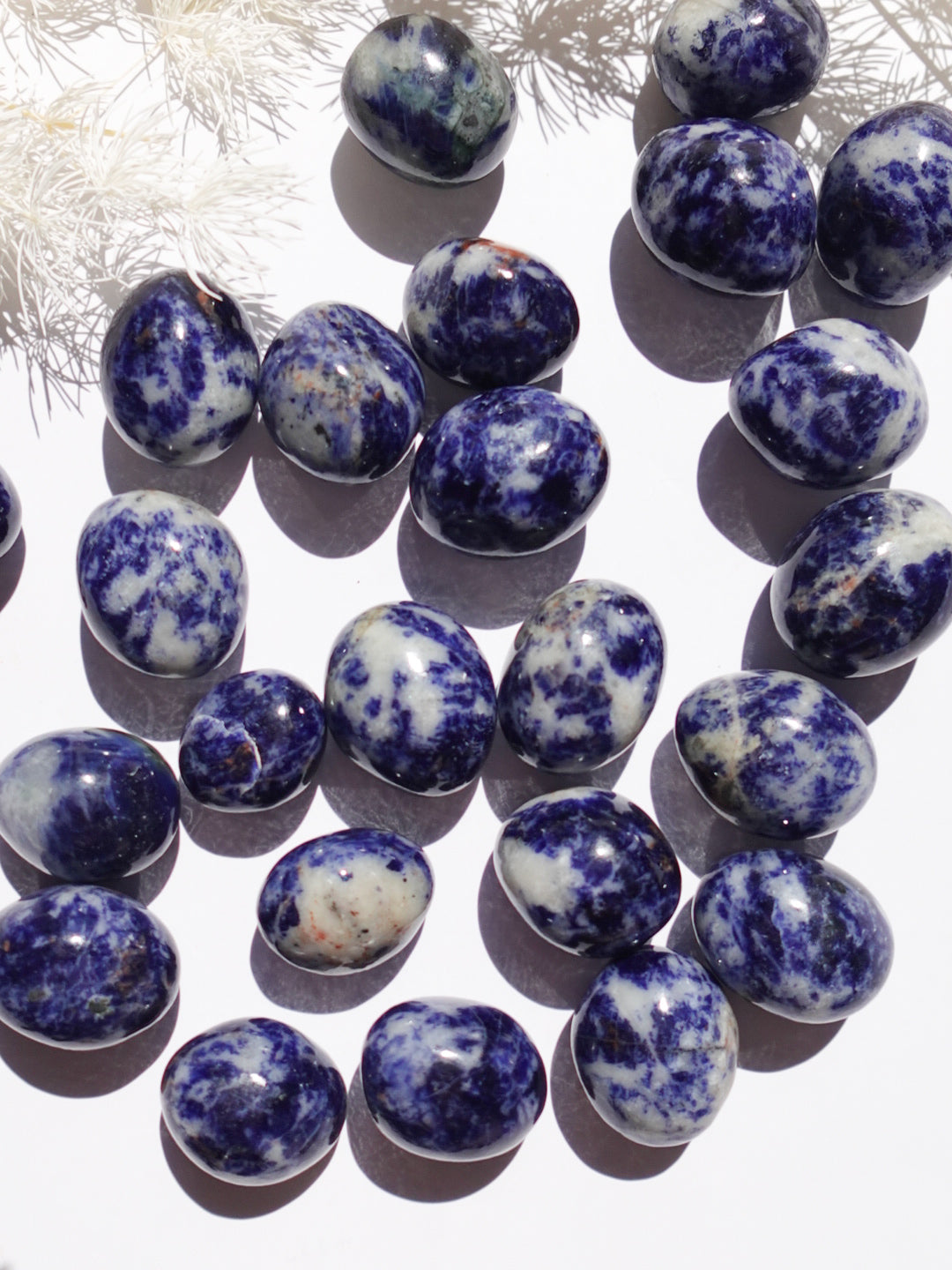 Sodalite Tumble