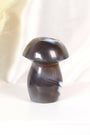 Orca Agate Mushroom Healing Crystal.