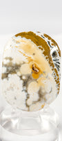 Orbicular Sea Jasper Palmstone
