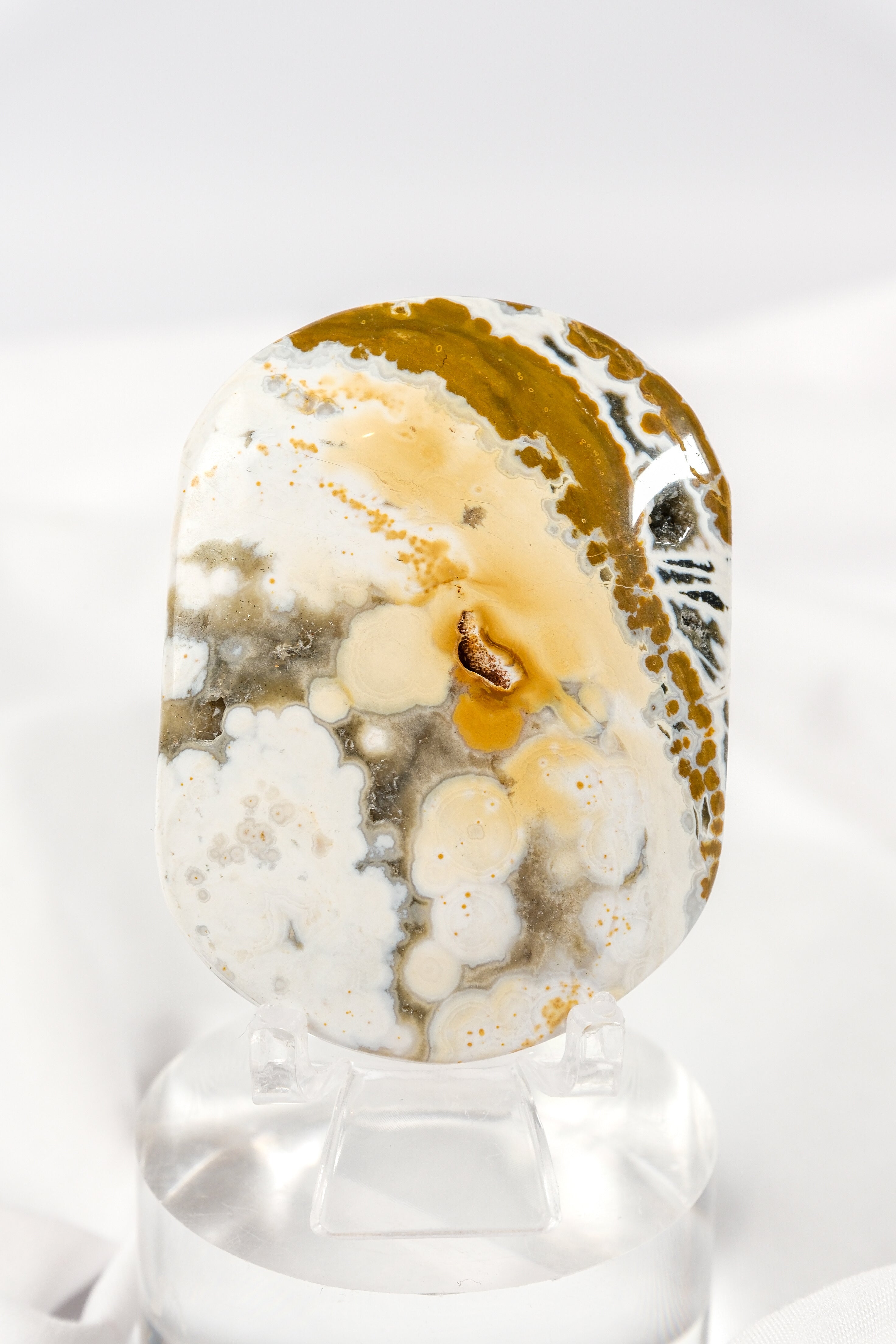 Orbicular Sea Jasper Palmstone