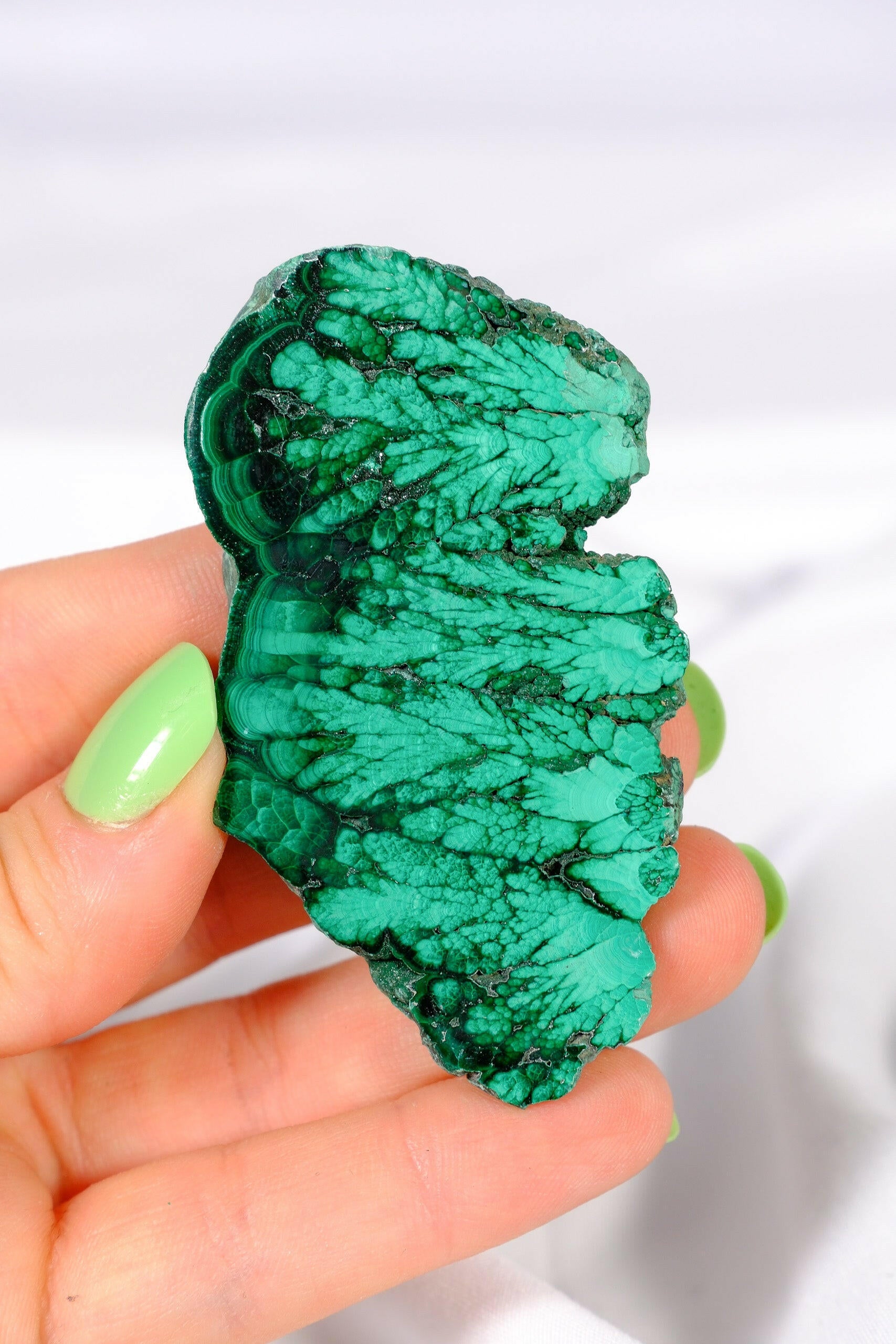 Malachite Slice Healing Crystal.