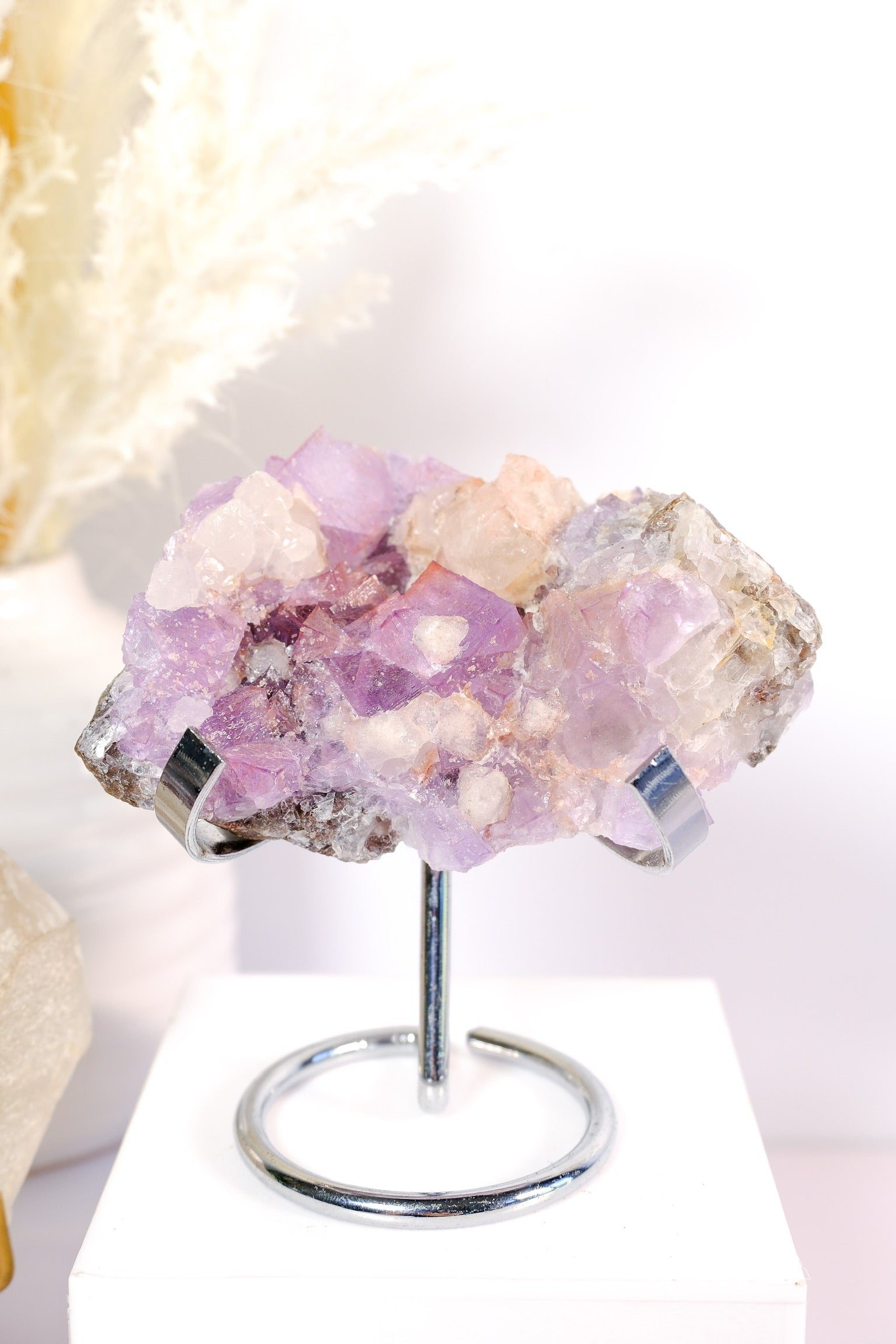 El Filo Fluorite Cluster
