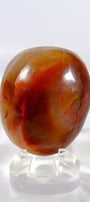 Red Sashe River Freeform/Palmstone Healing Crystal.