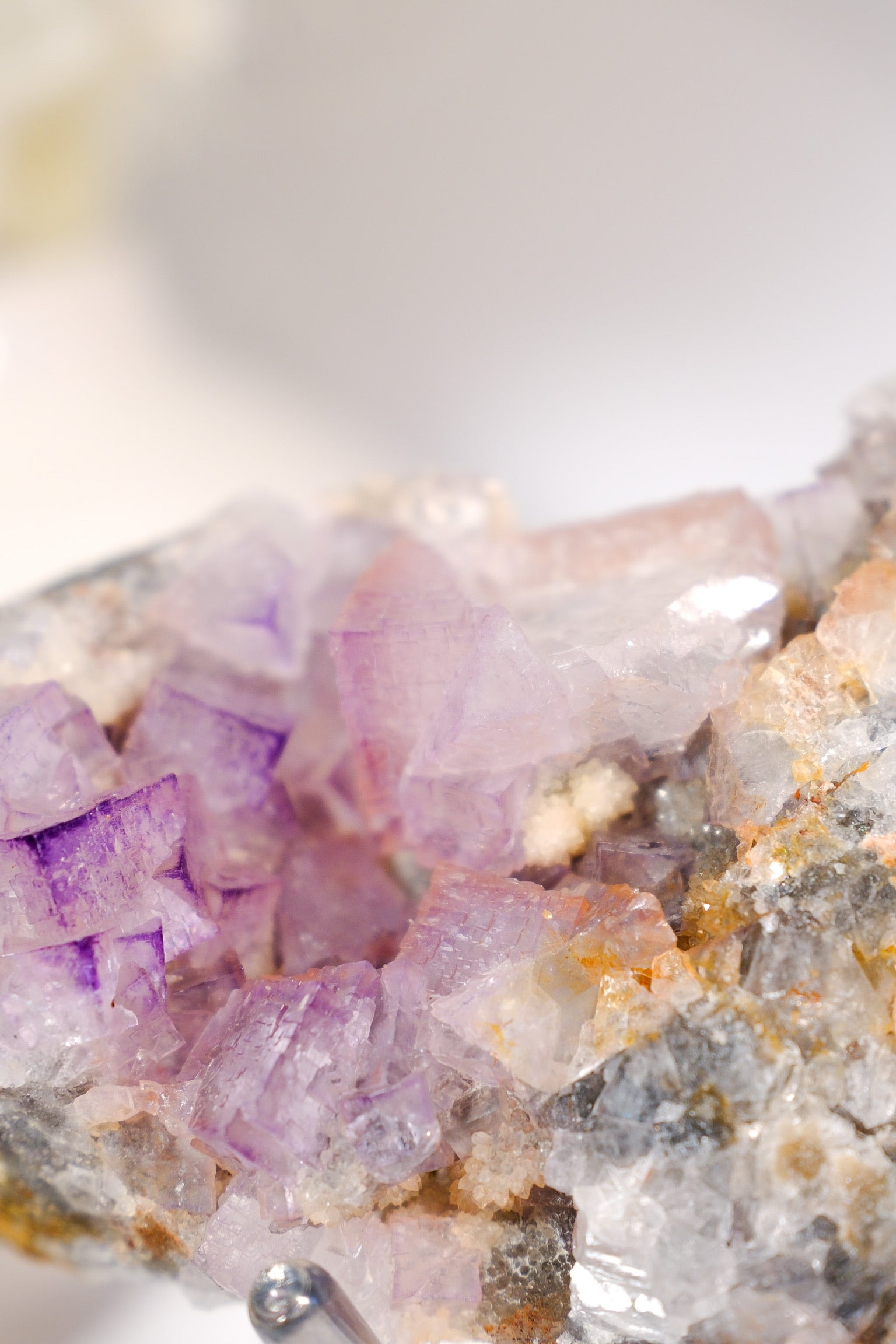 El Filo Fluorite Cluster