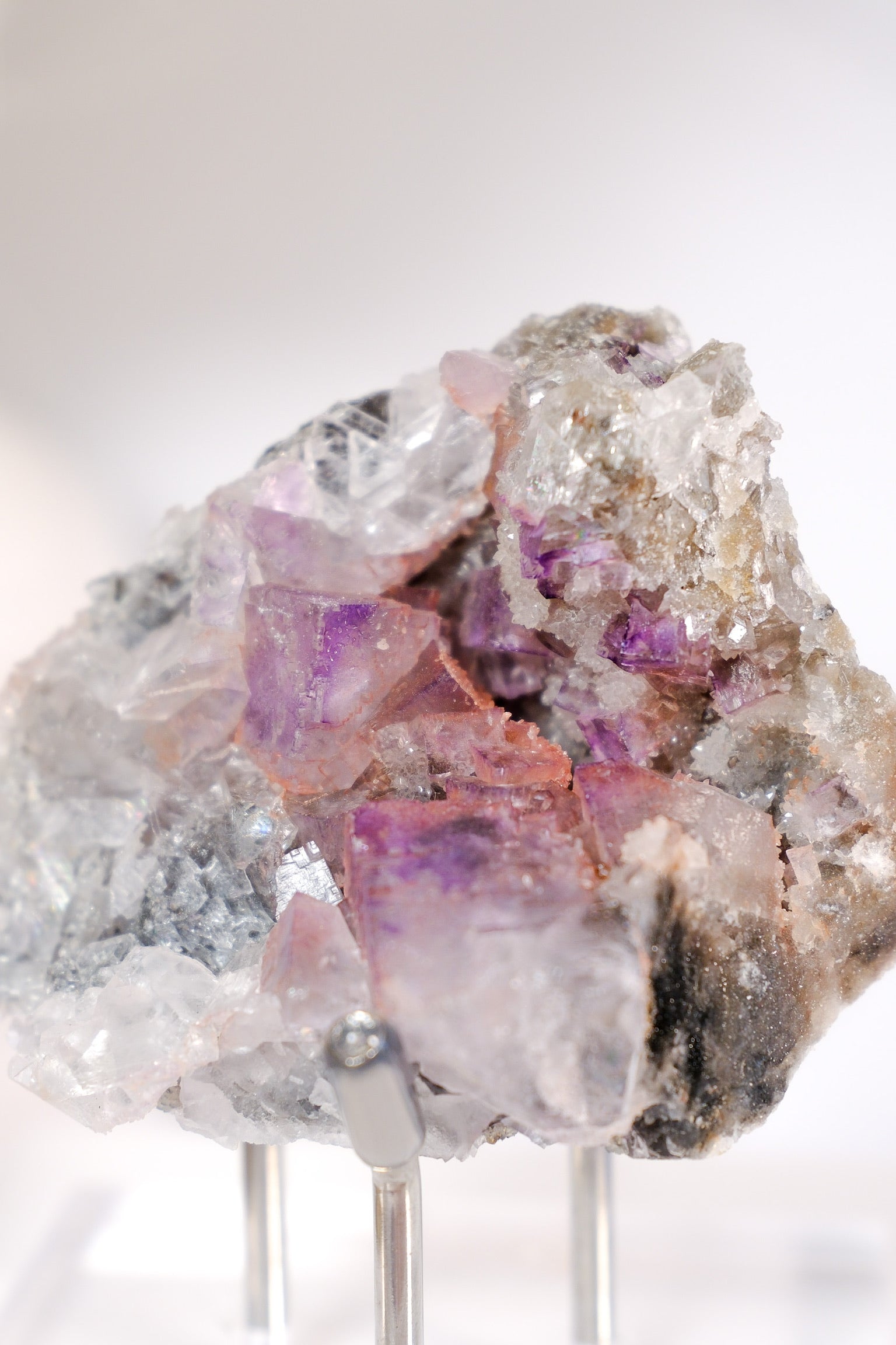 El Filo Fluorite Cluster