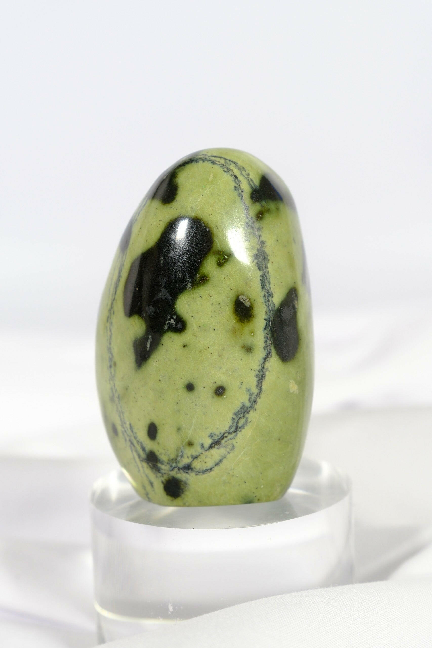 Leopard Stone Freeform Healing Crystal.