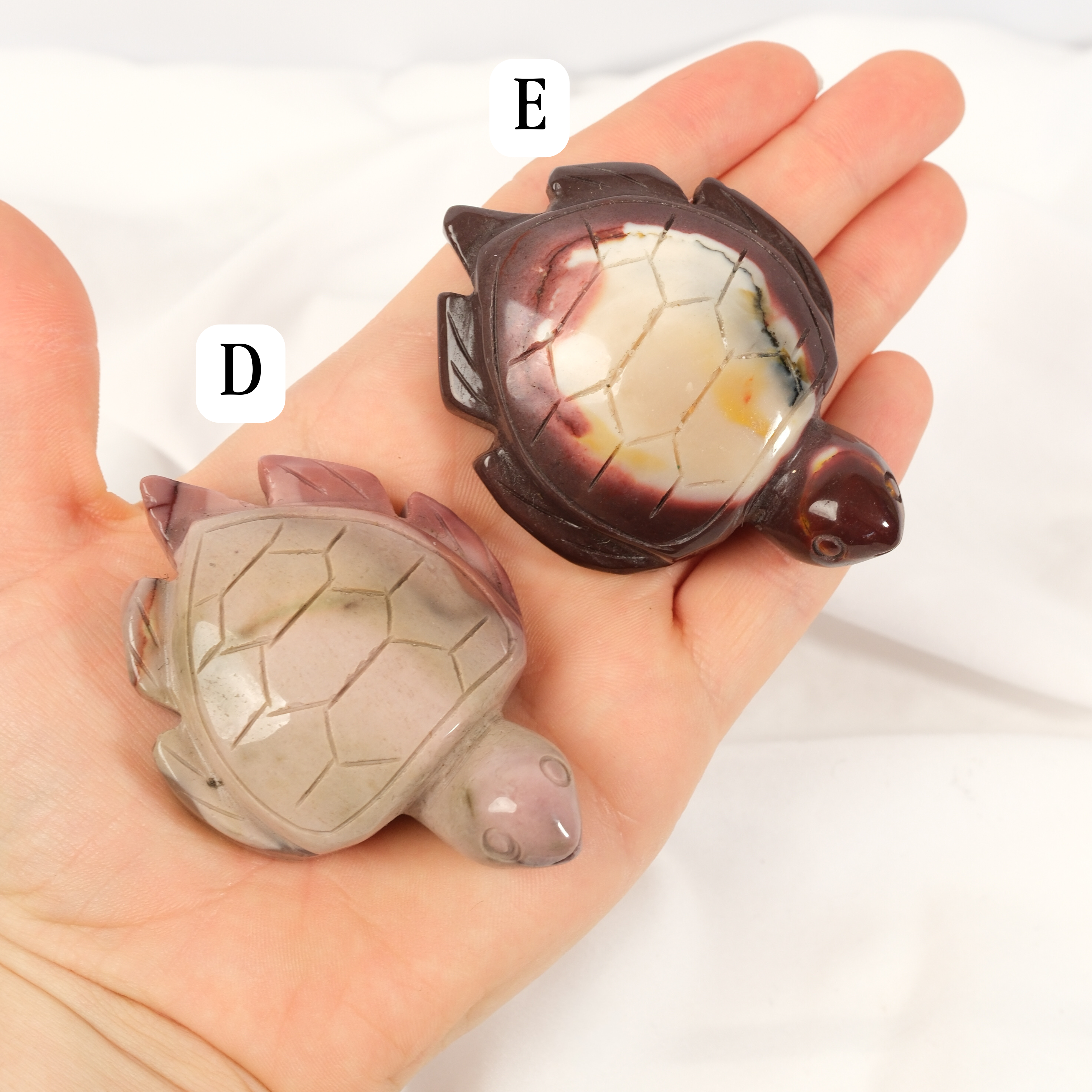 Mookaite Turtle: choose your own