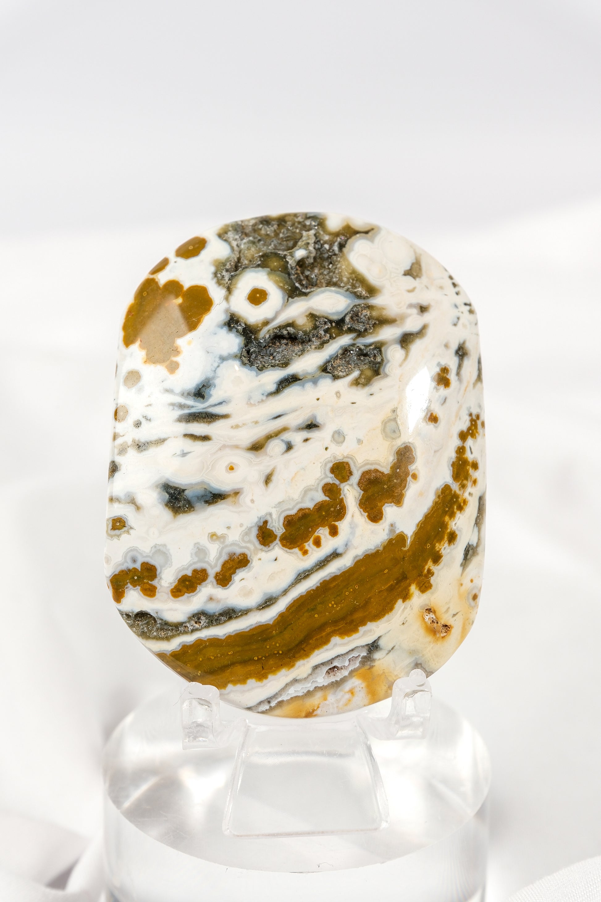 Orbicular Sea Jasper Palmstone