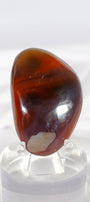 Red Sashe River Freeform/Palmstone Healing Crystal.
