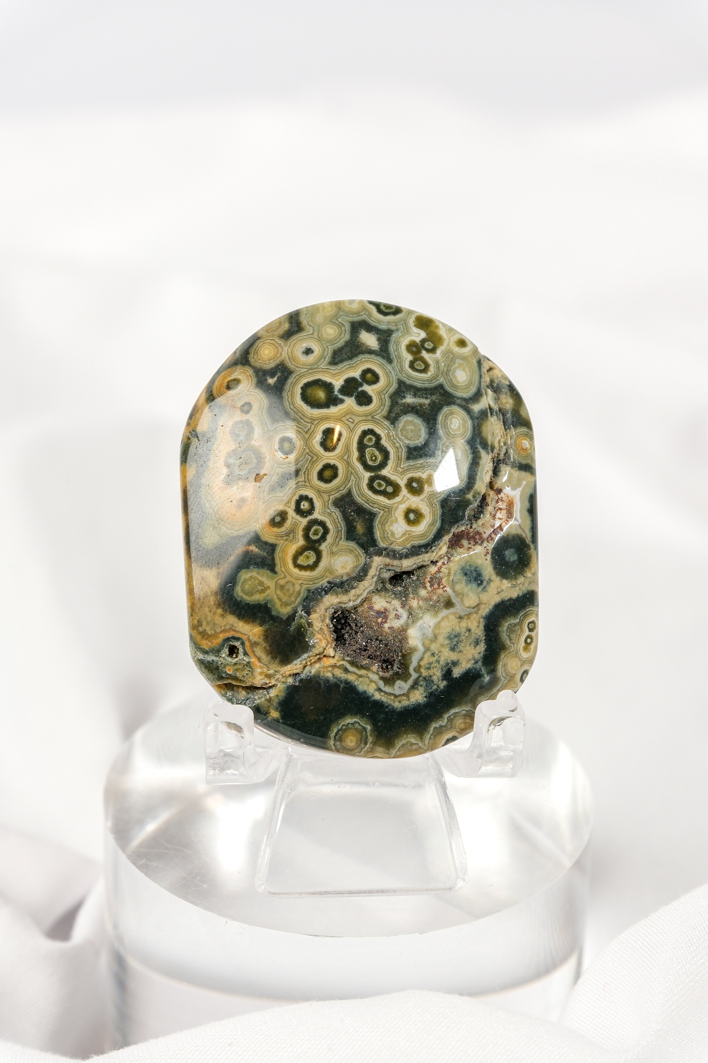 Orbicular Sea Jasper Palmstone