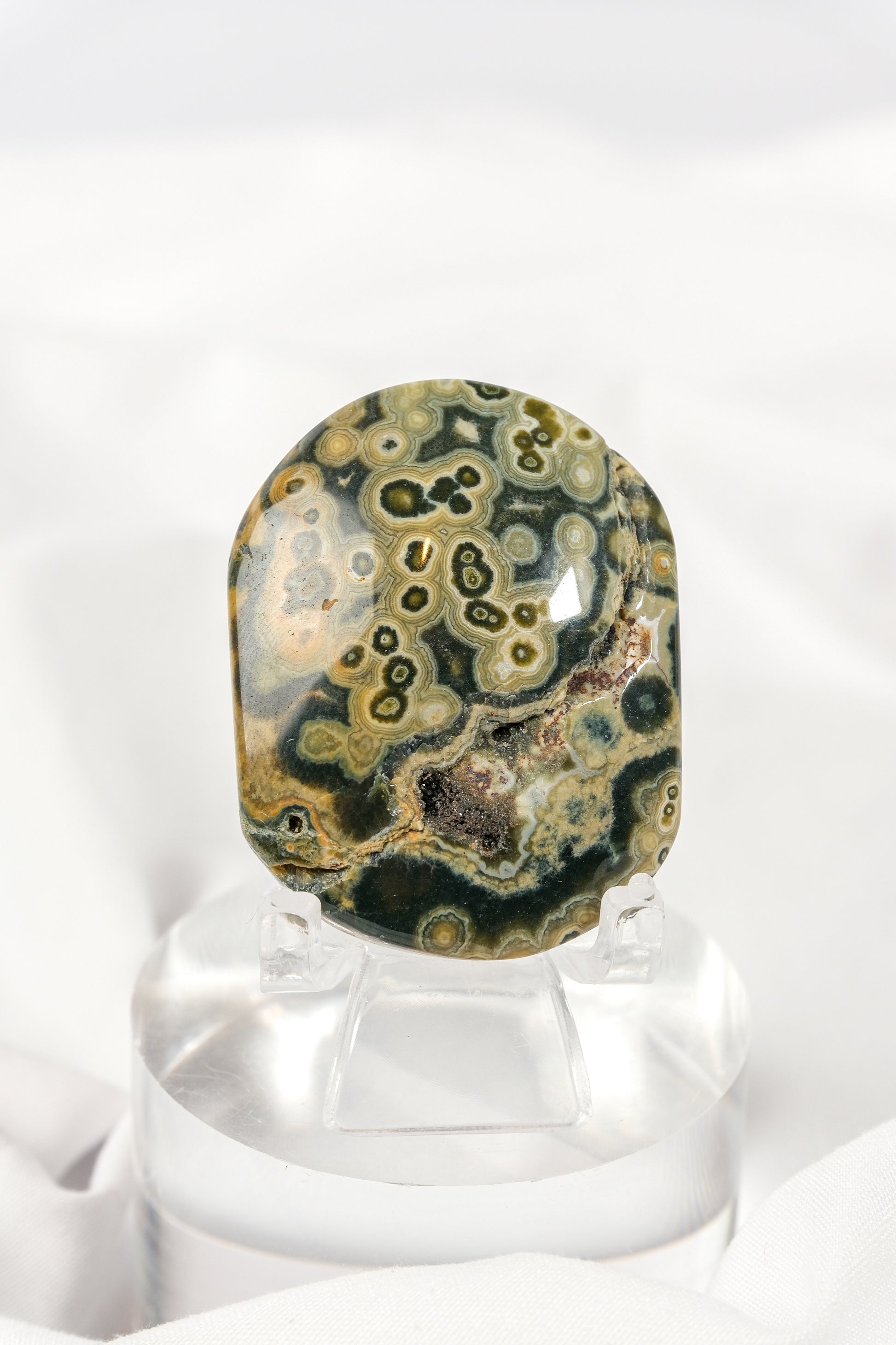 Orbicular Sea Jasper Palmstone