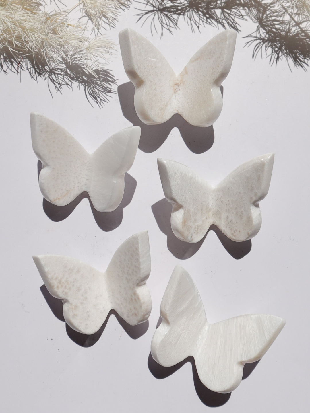 Scolecite Butterfly