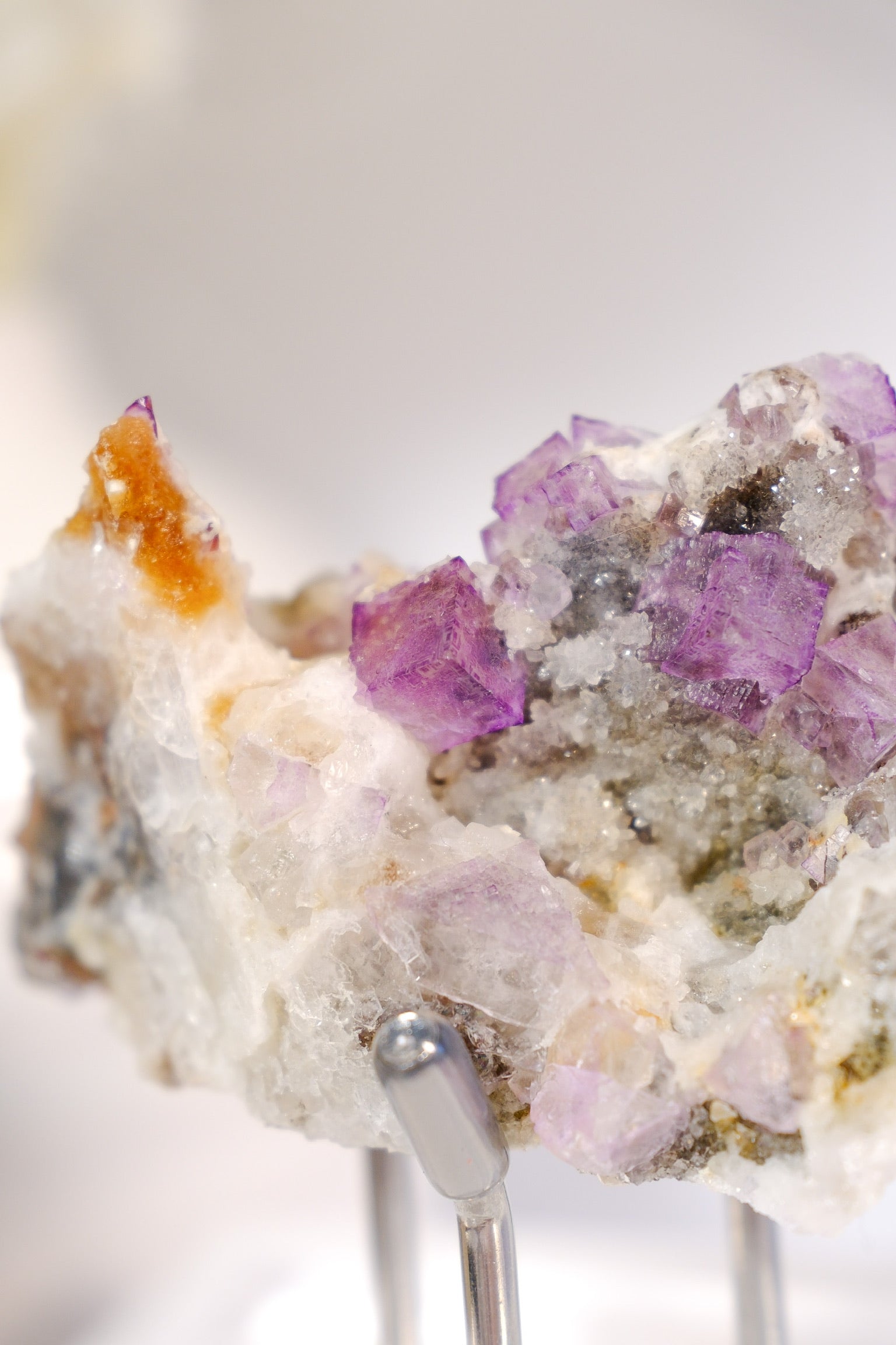 El Filo Fluorite Cluster