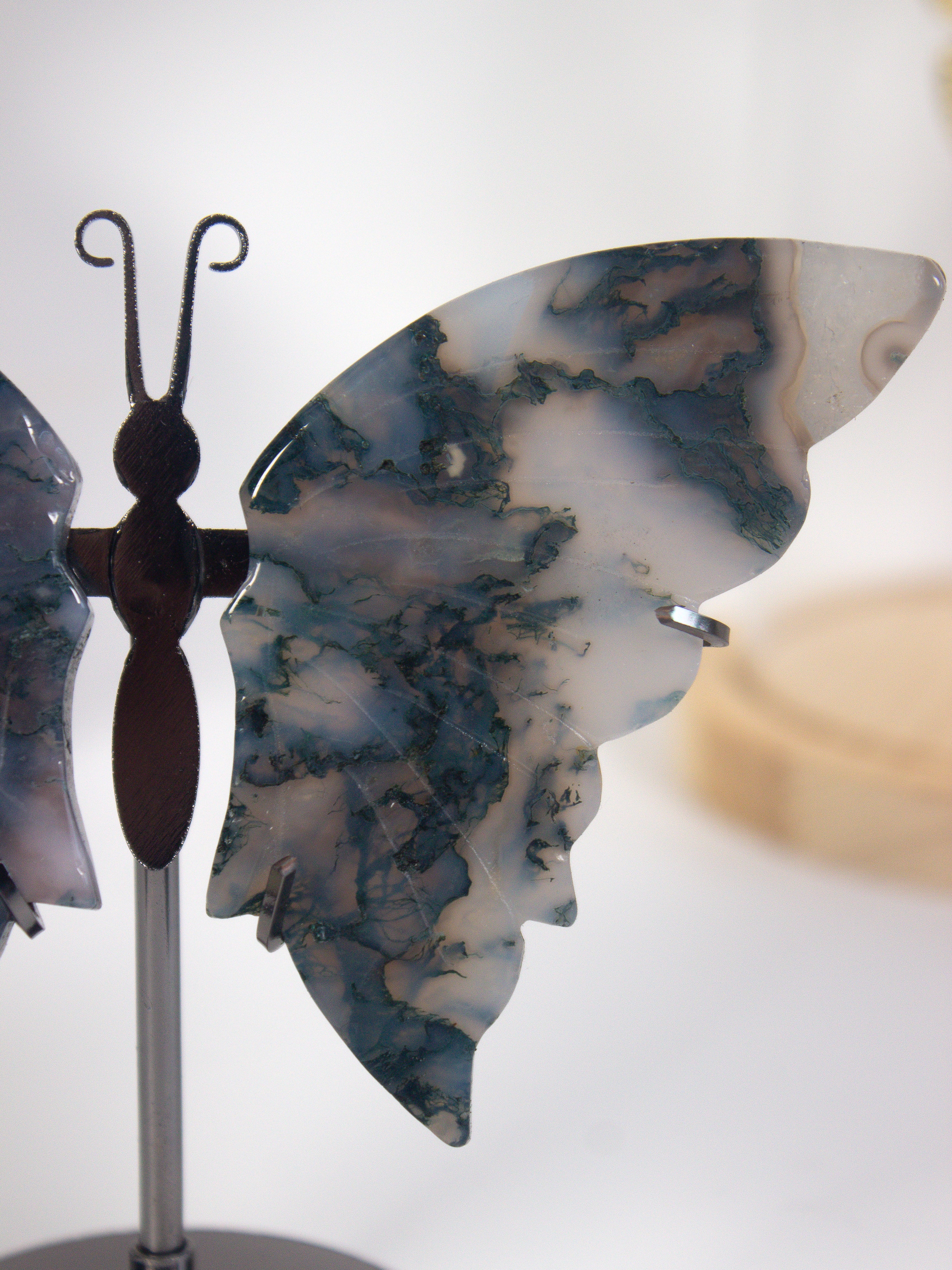 Moss Agate Butterfly on Stand