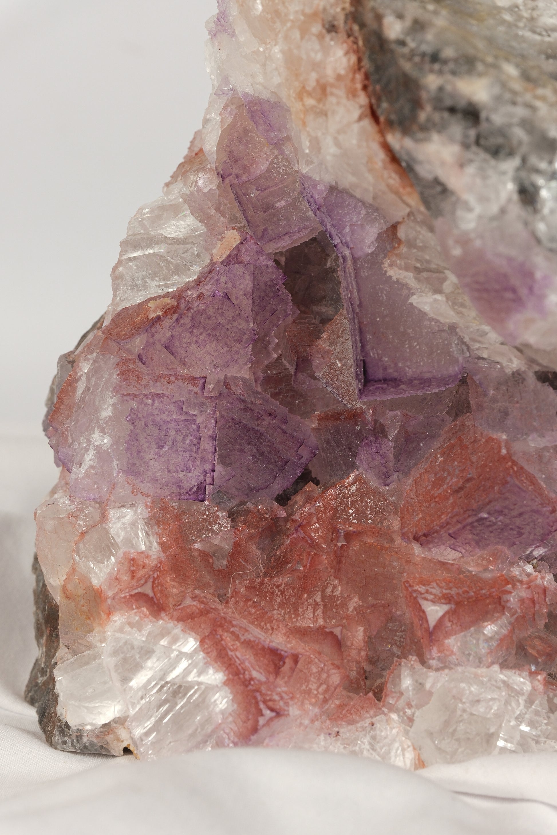 El Filo Fluorite Cluster