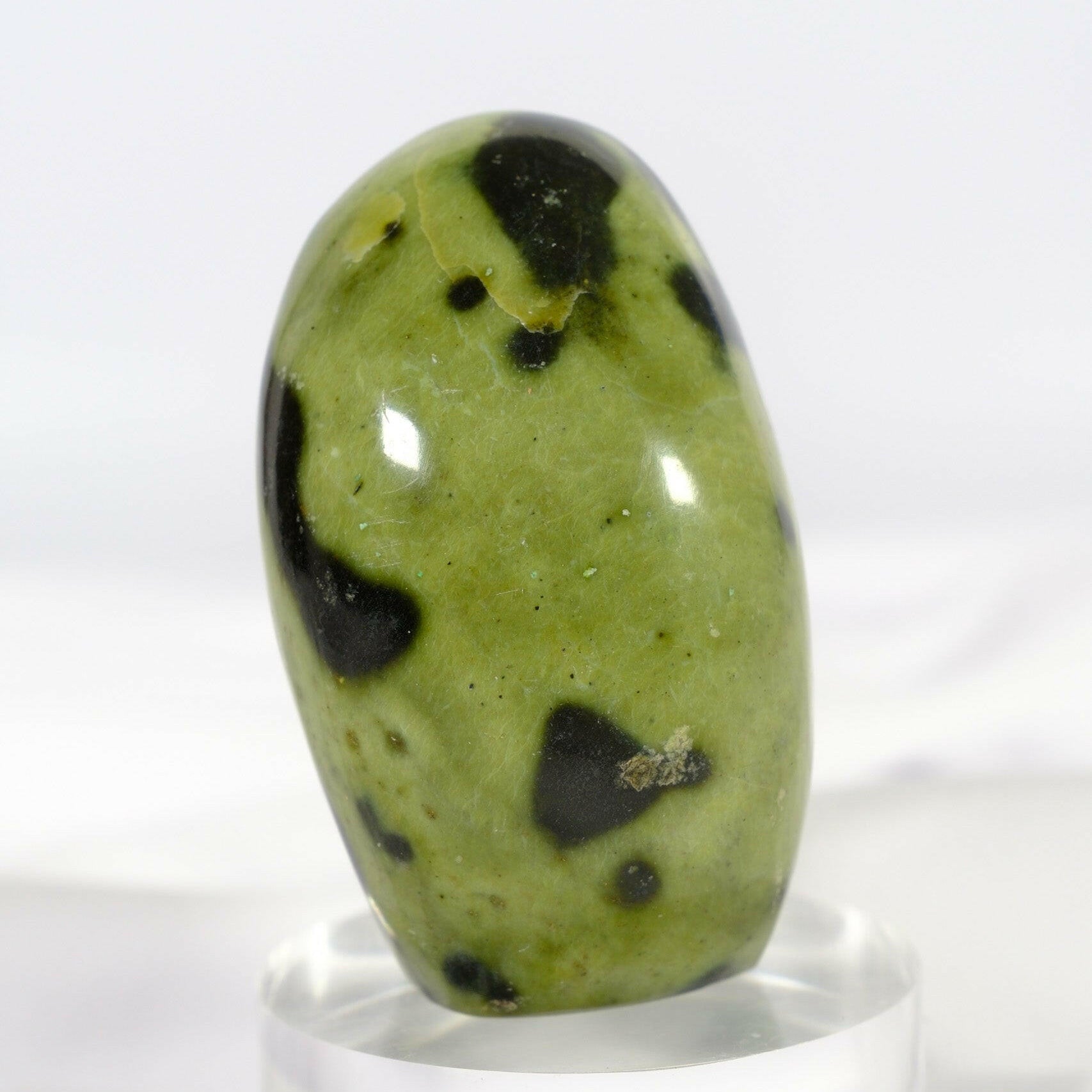 Leopard Stone Freeform Healing Crystal.