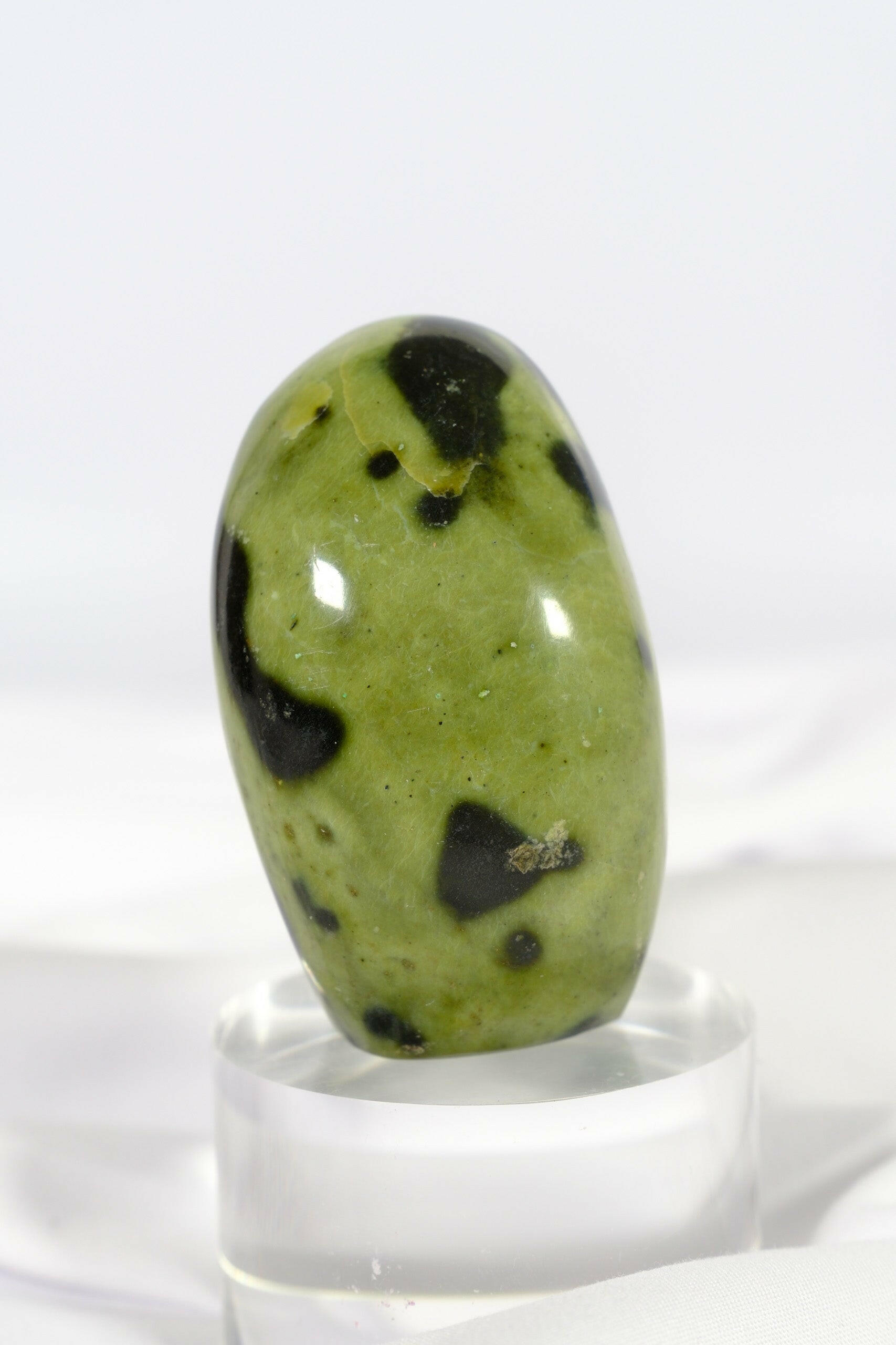 Leopard Stone Freeform Healing Crystal.
