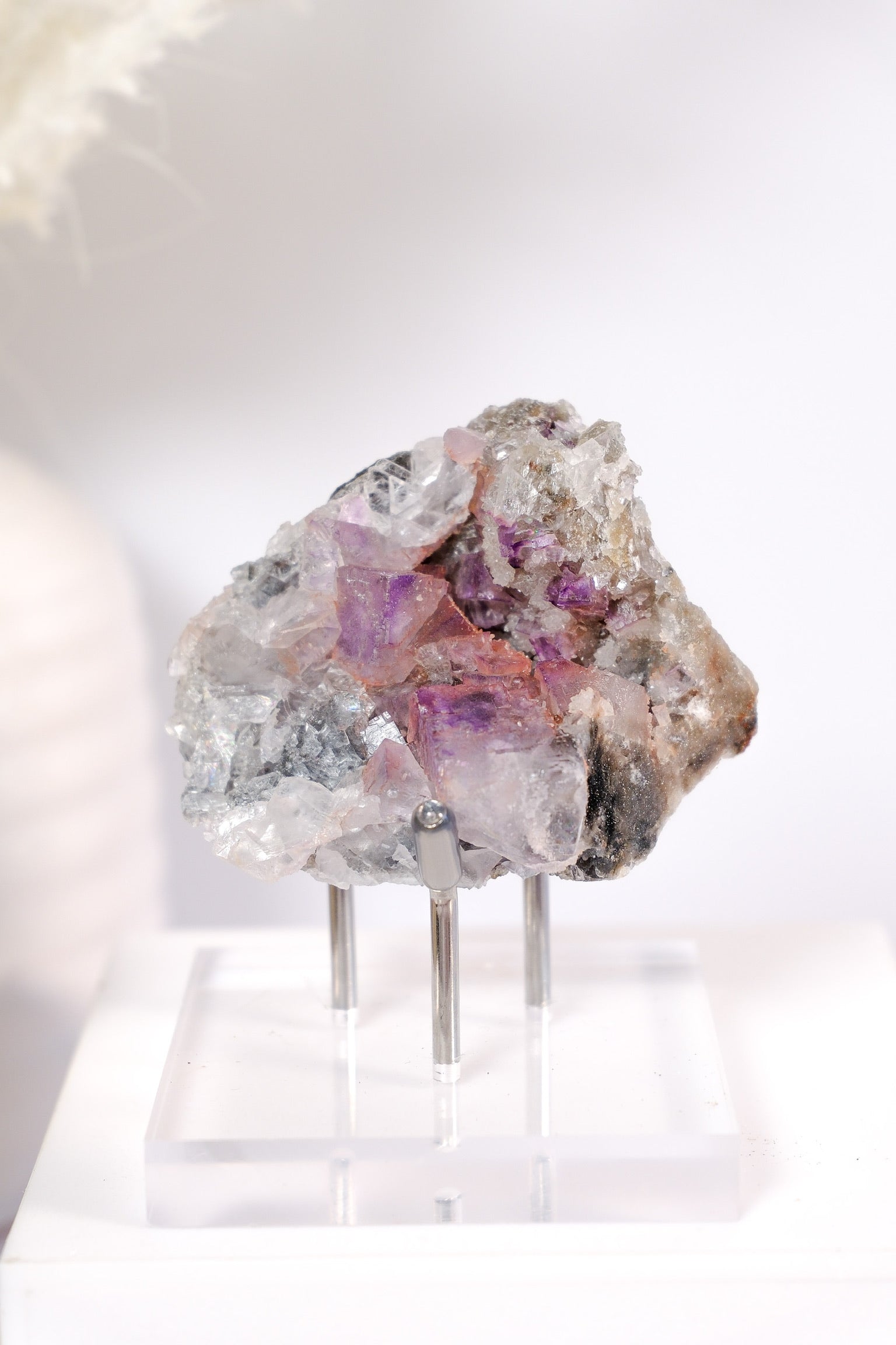 El Filo Fluorite Cluster