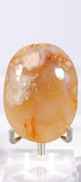 Flower Agate Palmstone Healing Crystal.