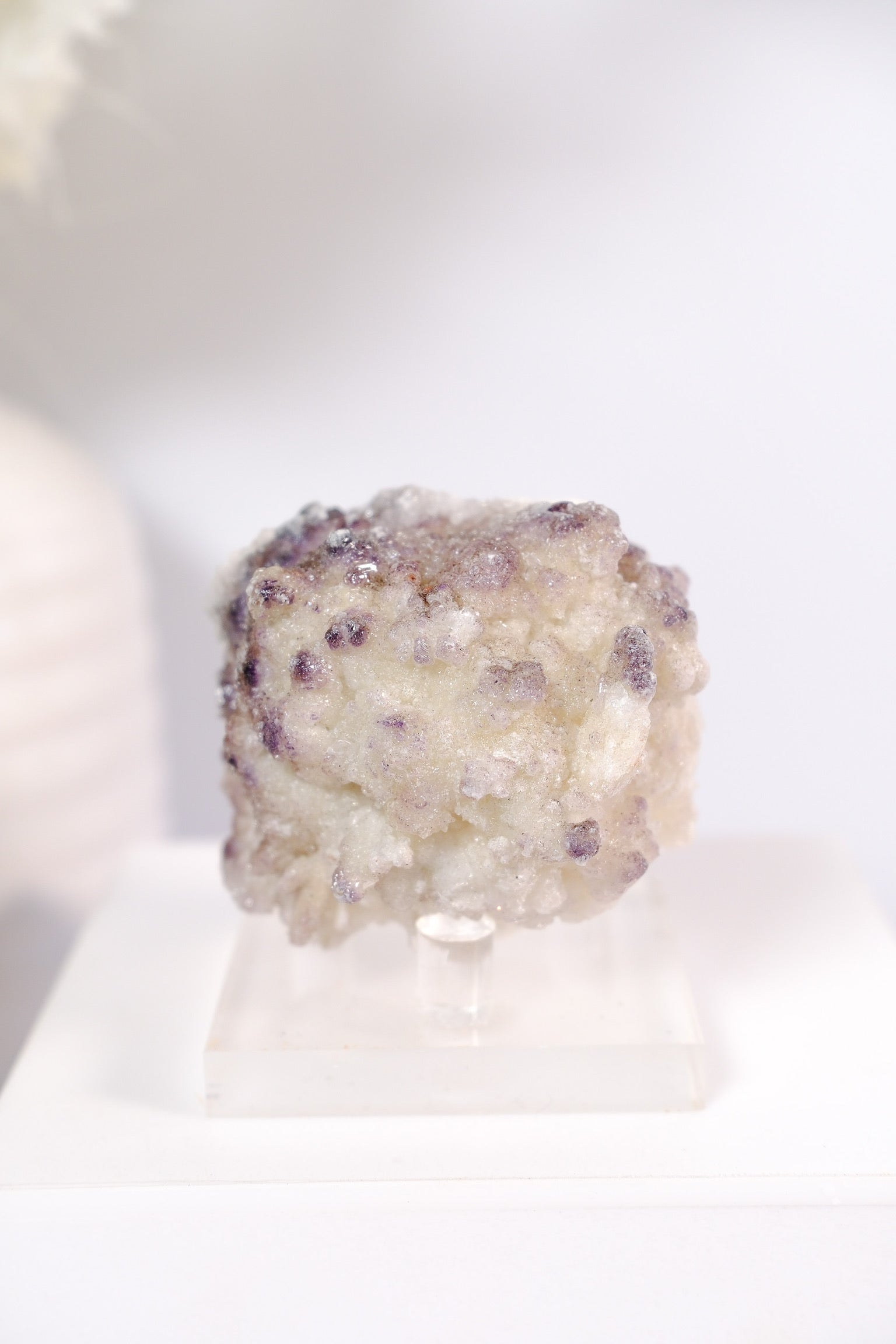 Selenite With Fluorite Cluster