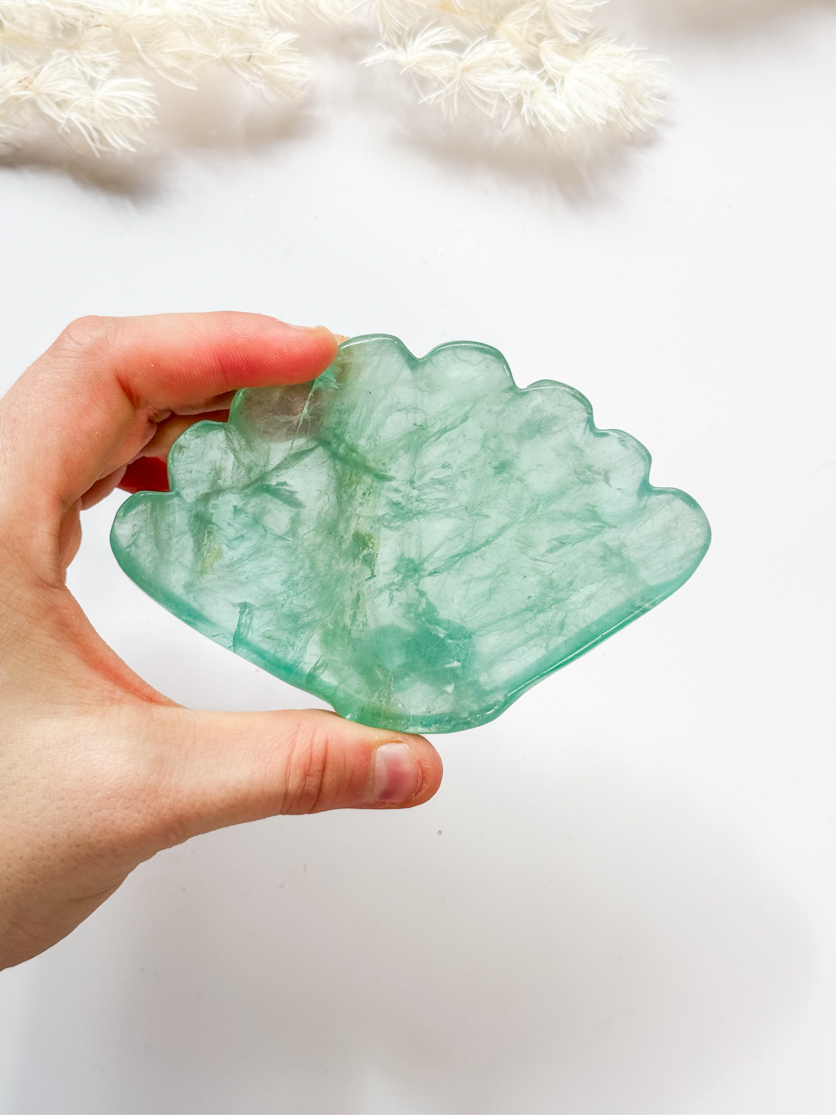 Fluorite Shell Bowl