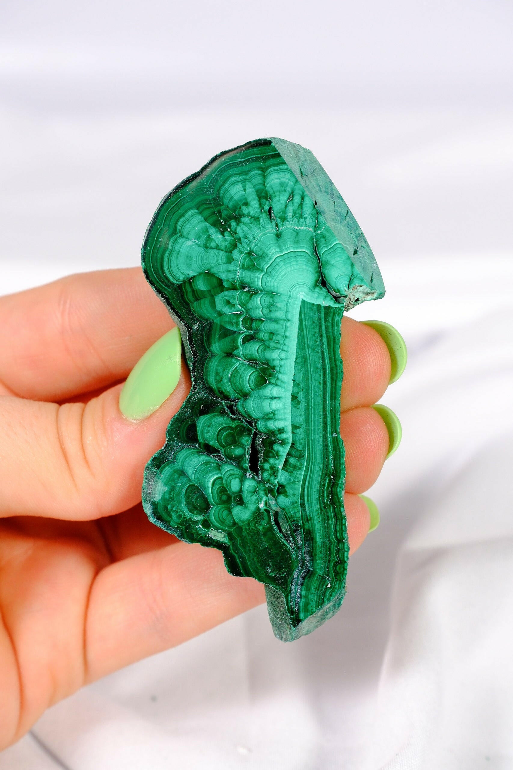 Malachite Slice Healing Crystal.