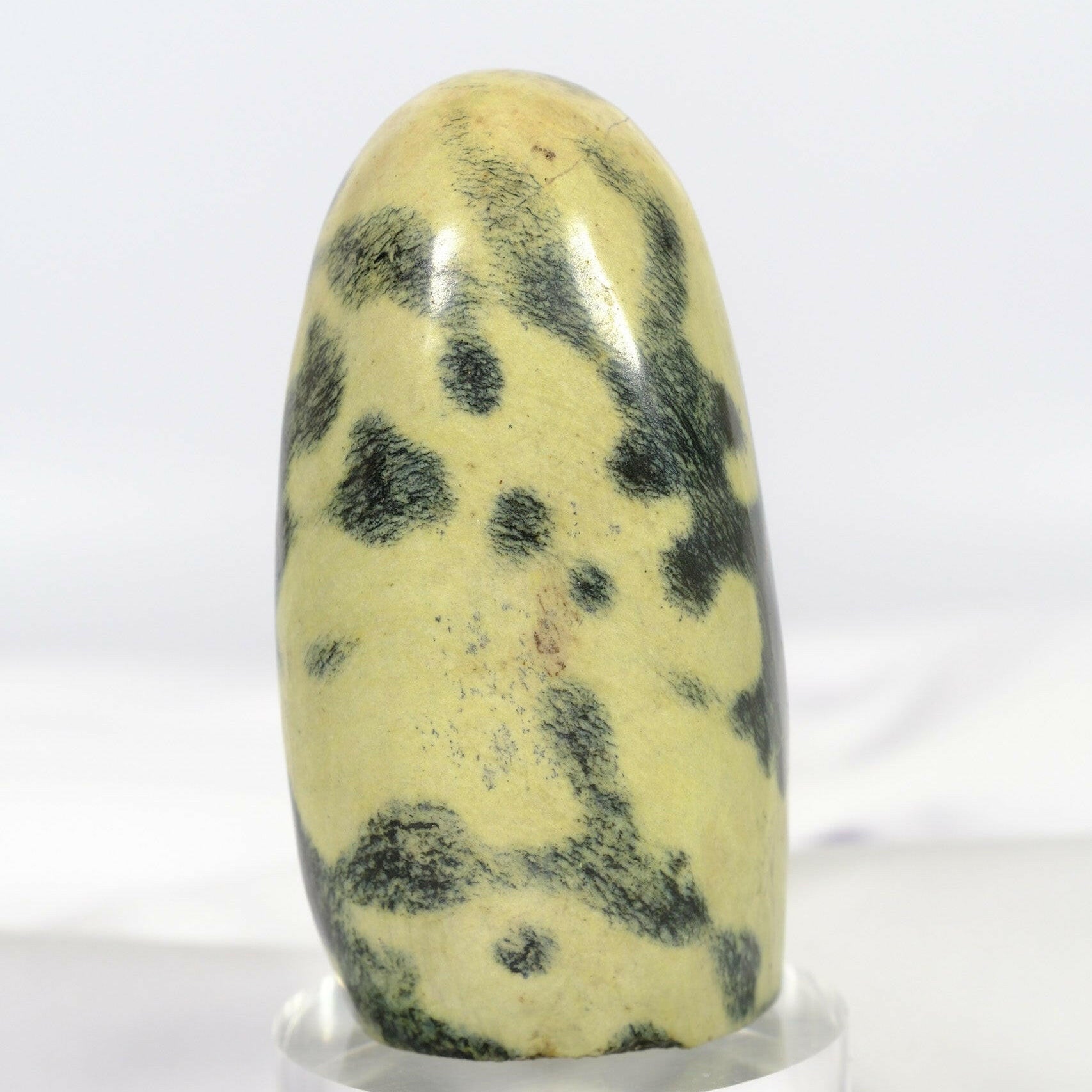Leopard Stone Freeform Healing Crystal.