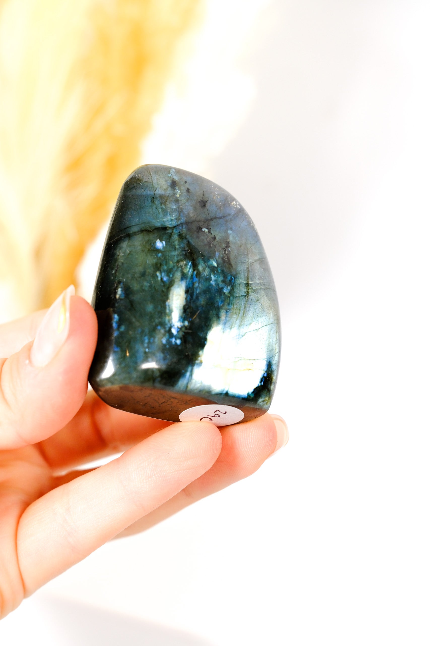 Labradorite Freeform