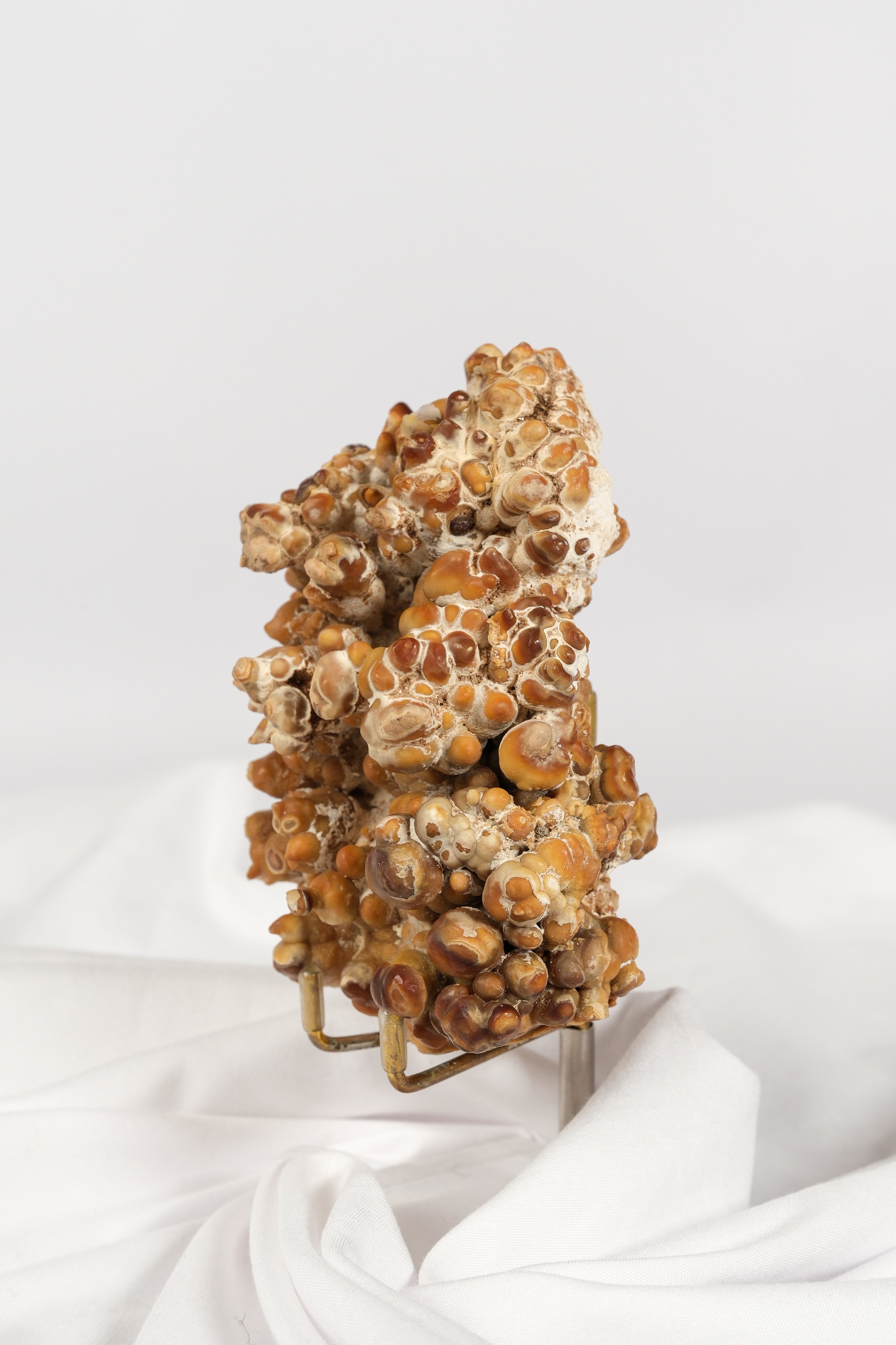 Brown Cave Aragonite