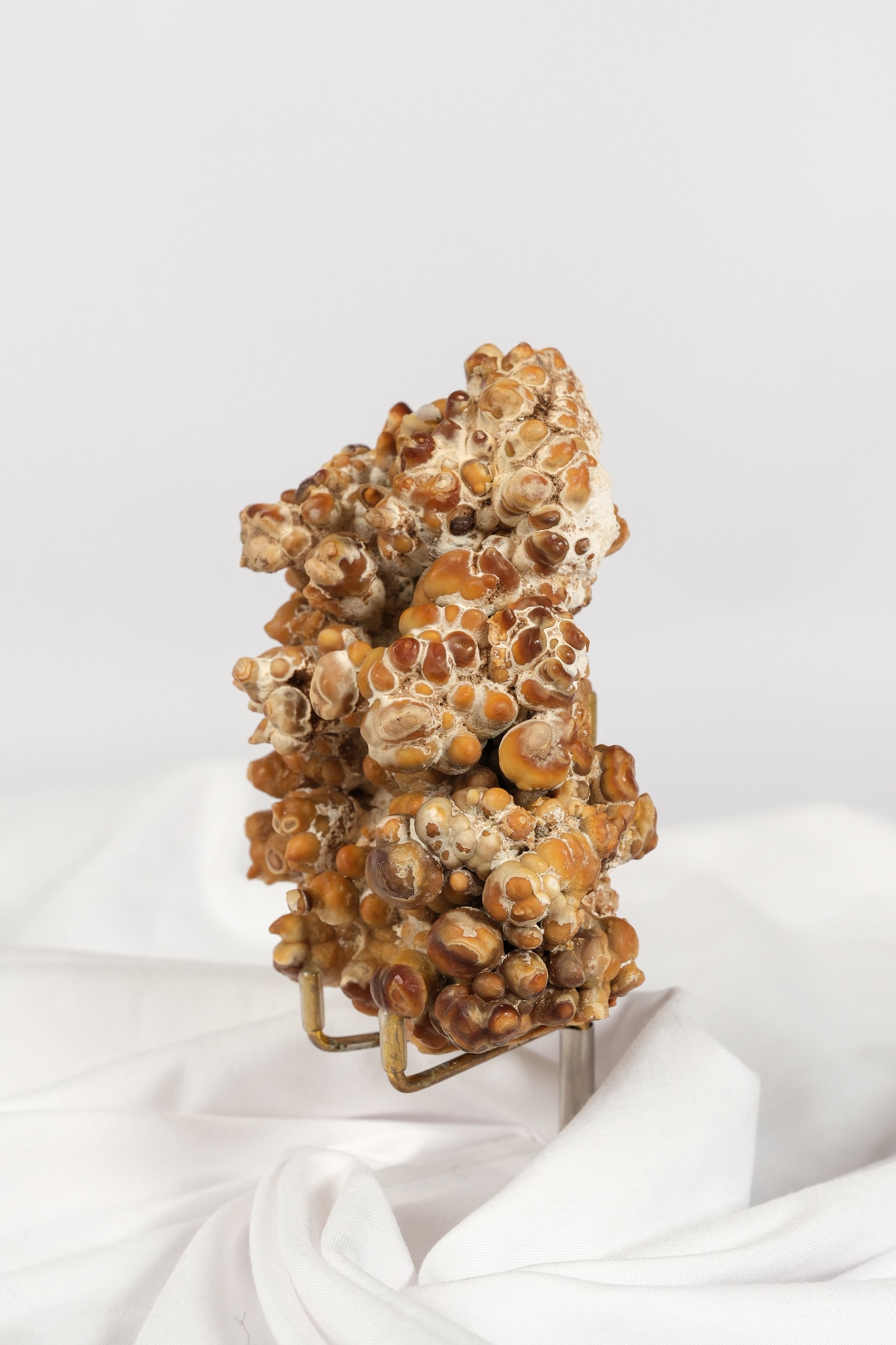 Brown Cave Aragonite