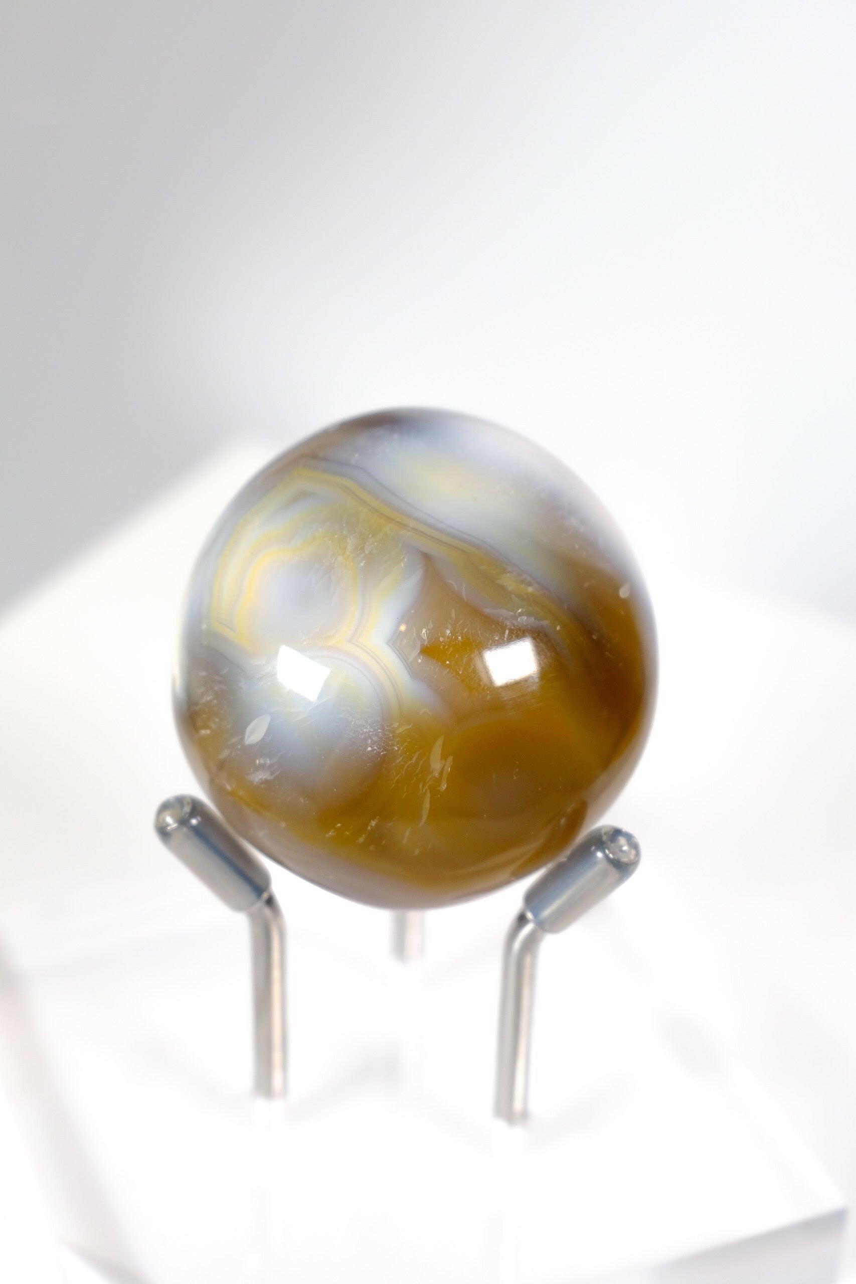 Orca Agate Palmstone Healing Crystal.
