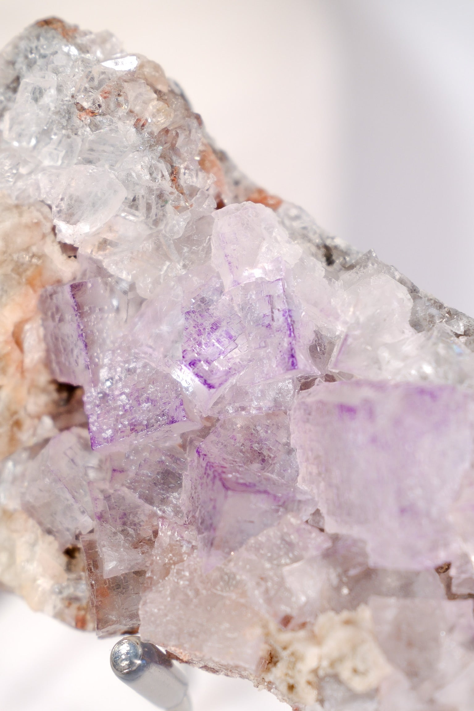 El Filo Fluorite Cluster