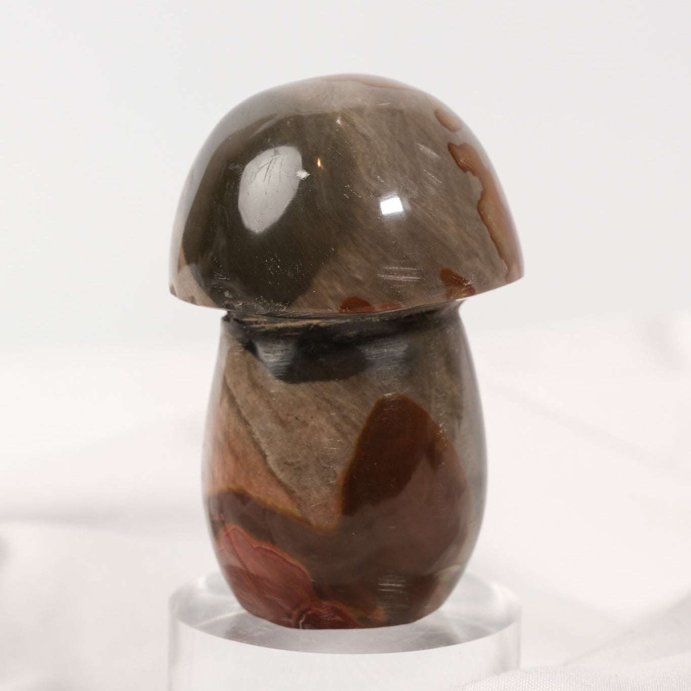 Polychrome Jasper Mushroom