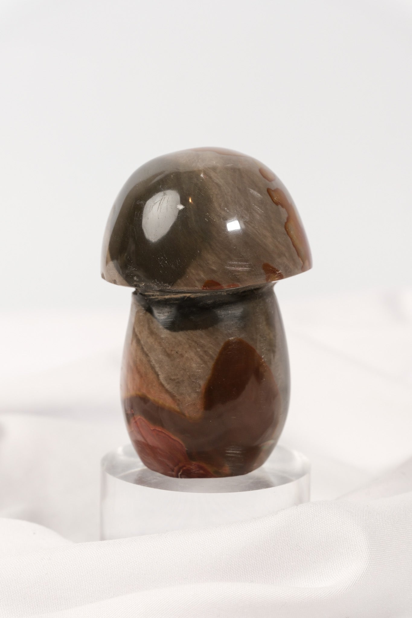 Polychrome Jasper Mushroom