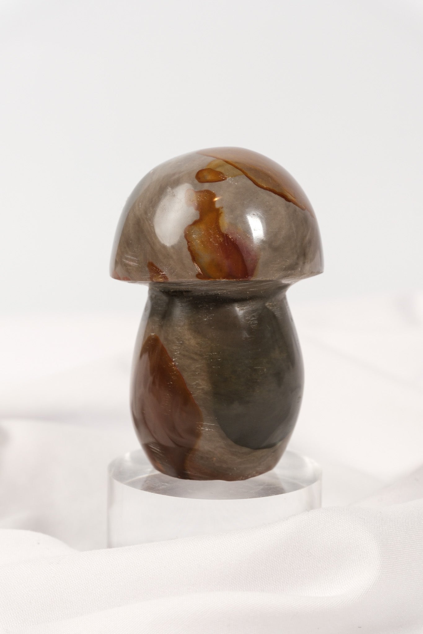 Polychrome Jasper Mushroom