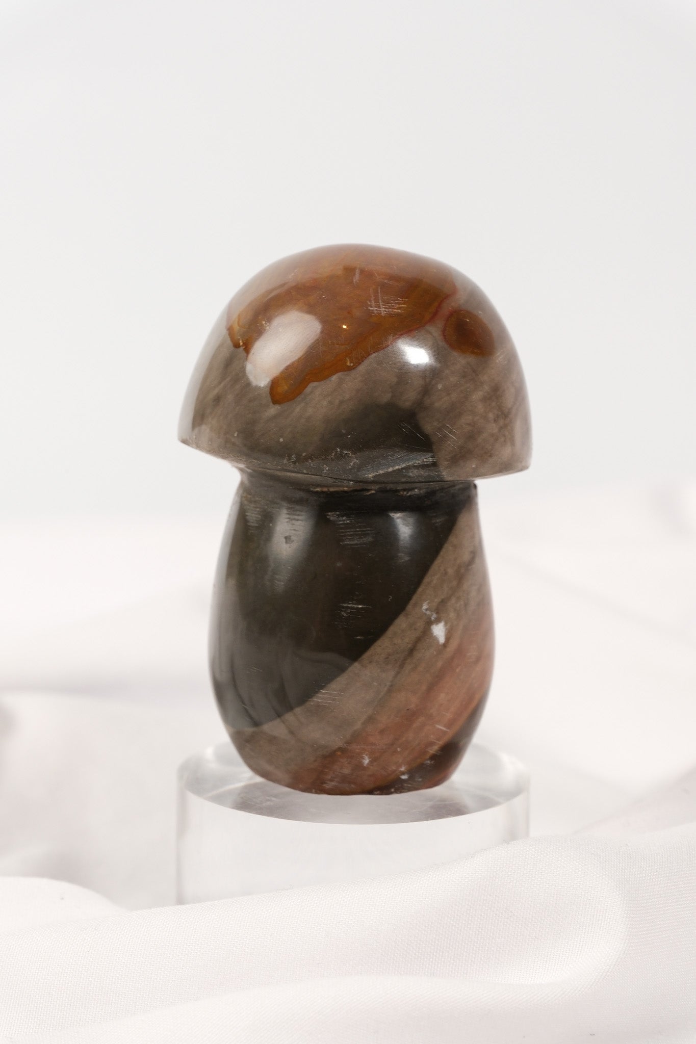 Polychrome Jasper Mushroom