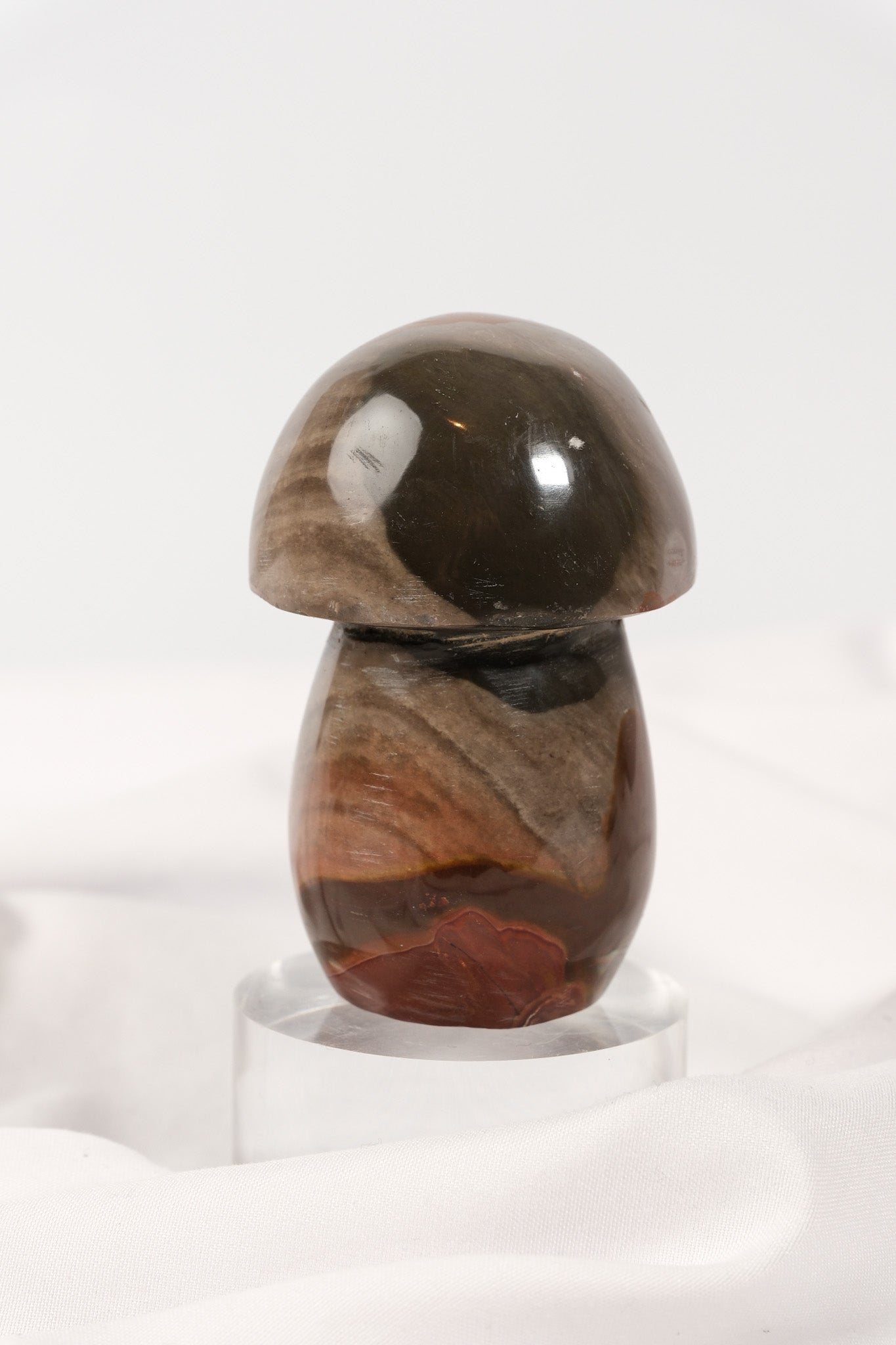 Polychrome Jasper Mushroom