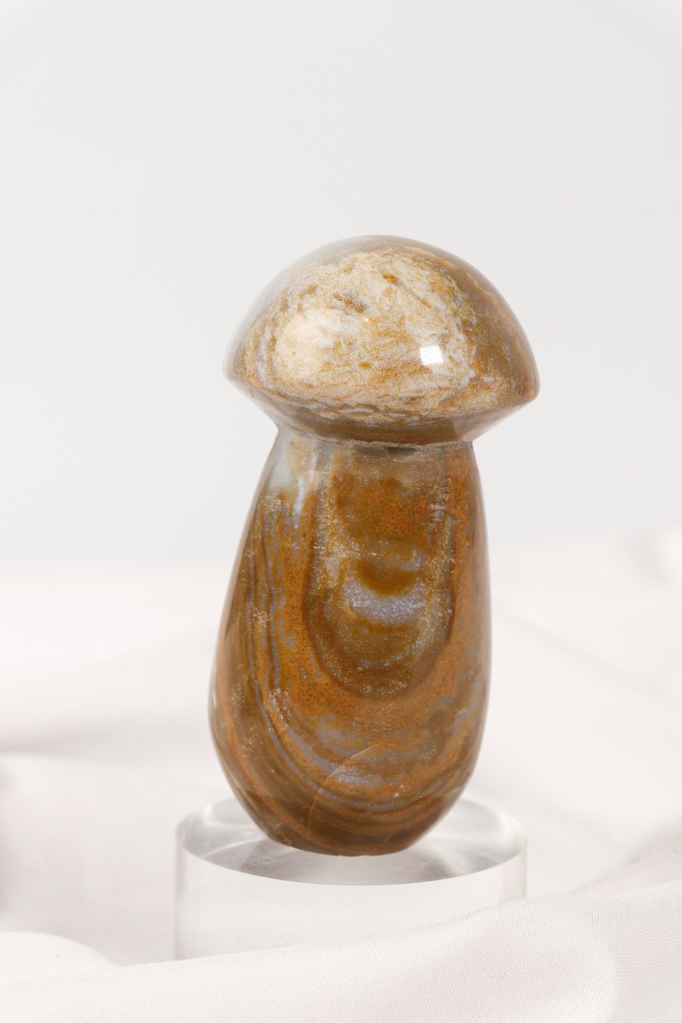 Polychrome Jasper Mushroom