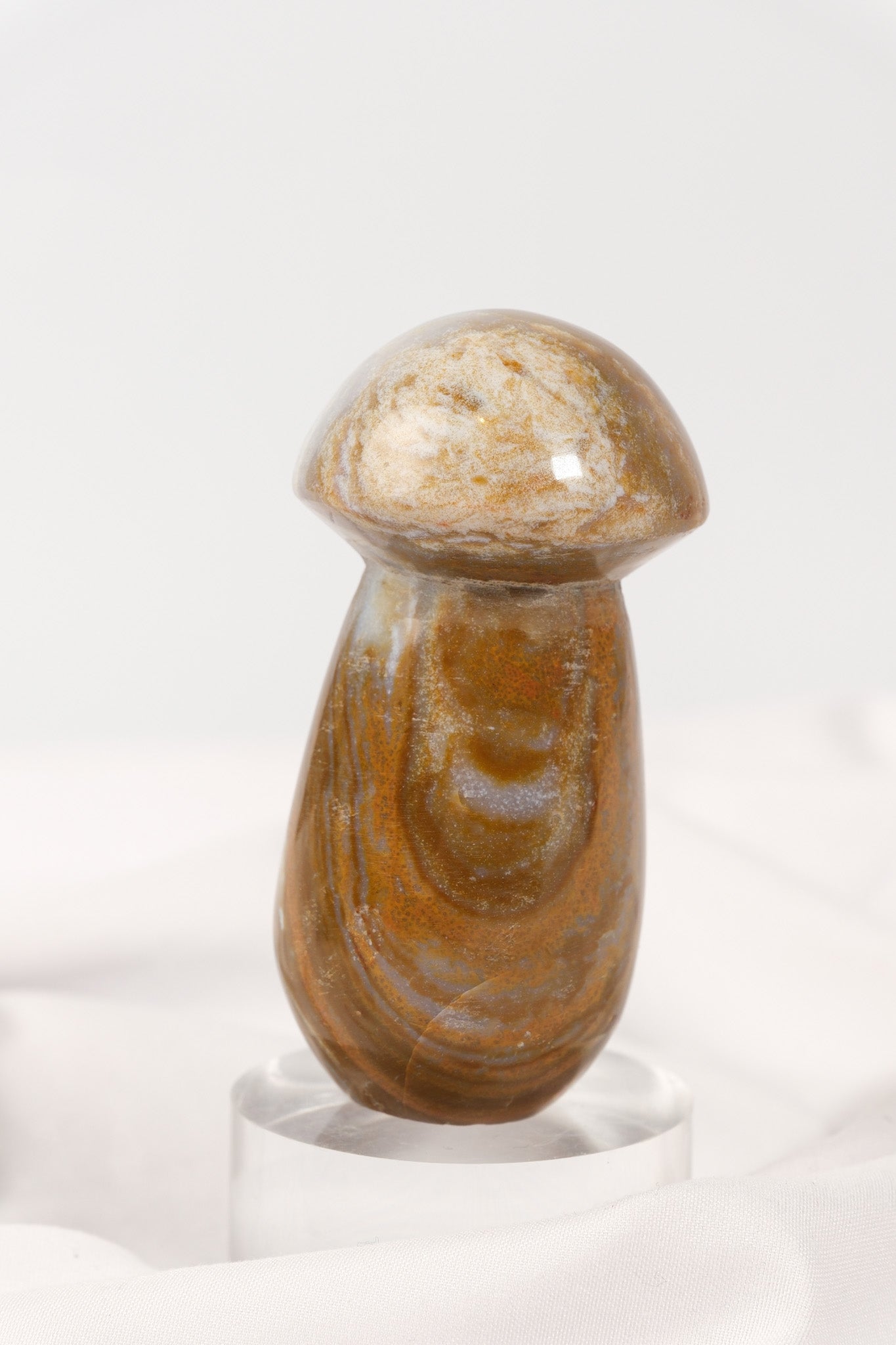 Polychrome Jasper Mushroom